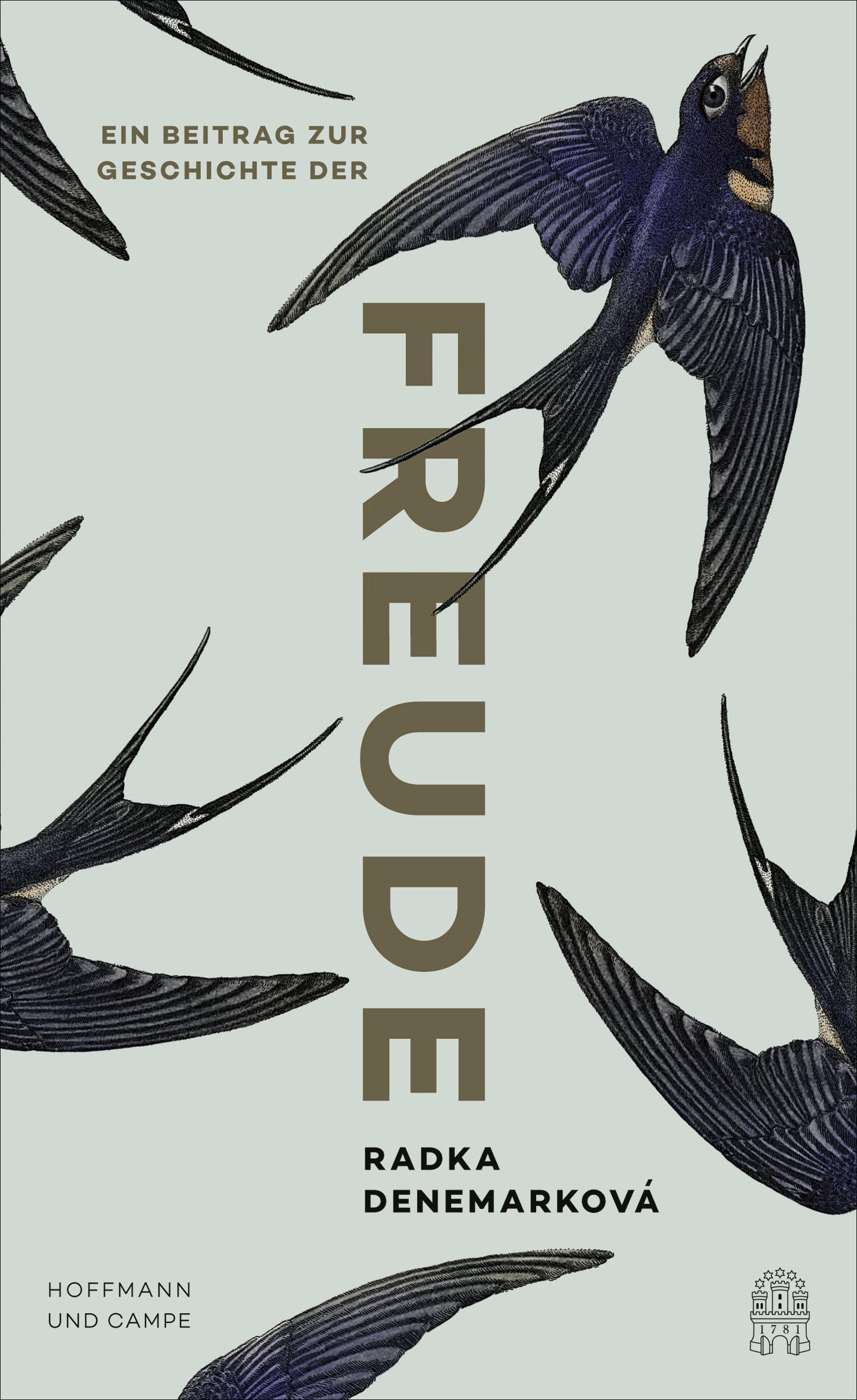 Vorderes Coverbild Ein Beitrag zur Geschichte der Freude
