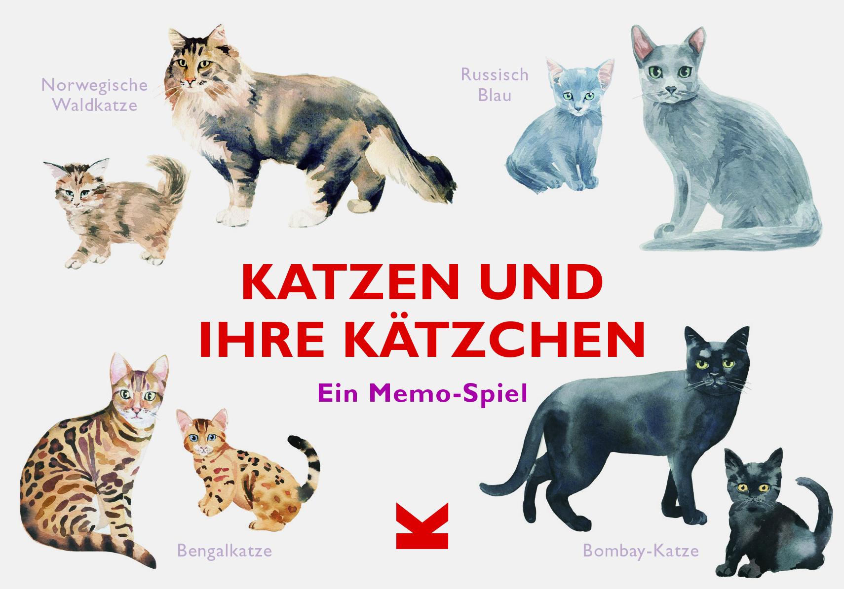 Vorderes Coverbild Katzen und ihre Kätzchen