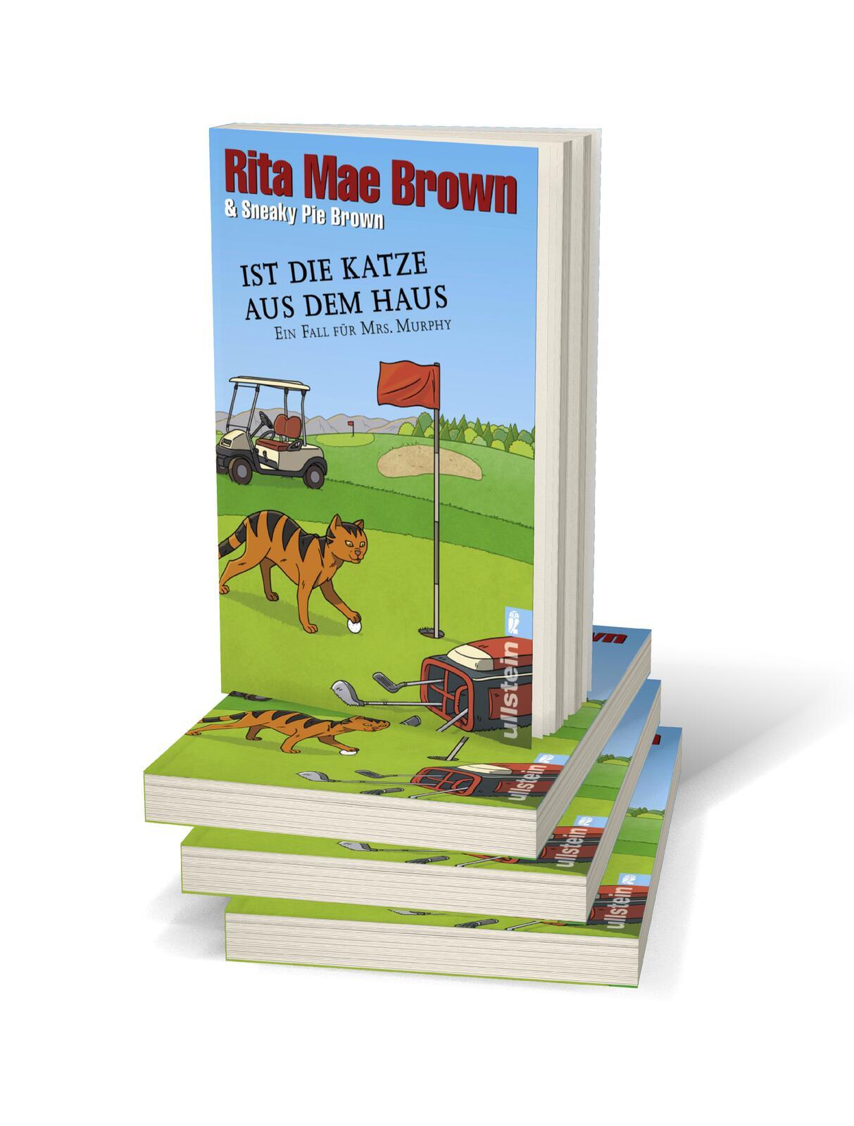 Beispielinhalt (Bild) Ist die Katze aus dem Haus