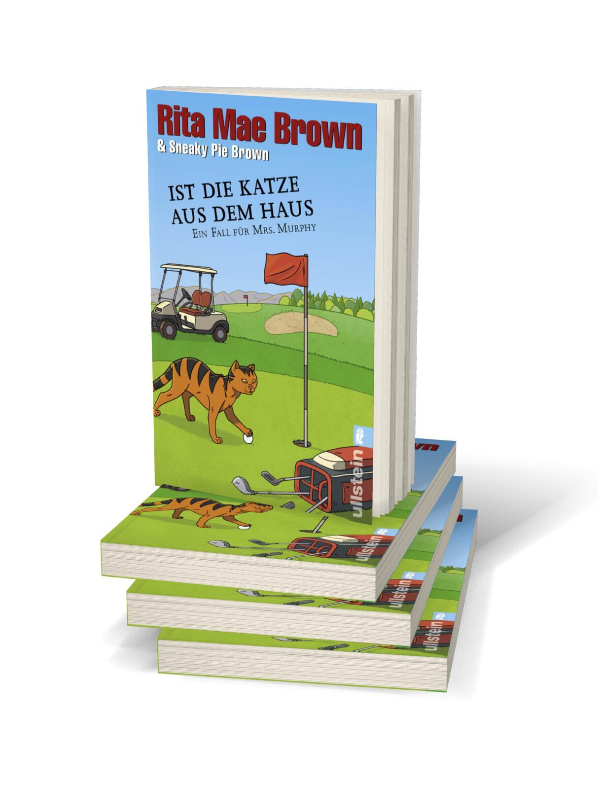 Beispielinhalt (Bild) Ist die Katze aus dem Haus