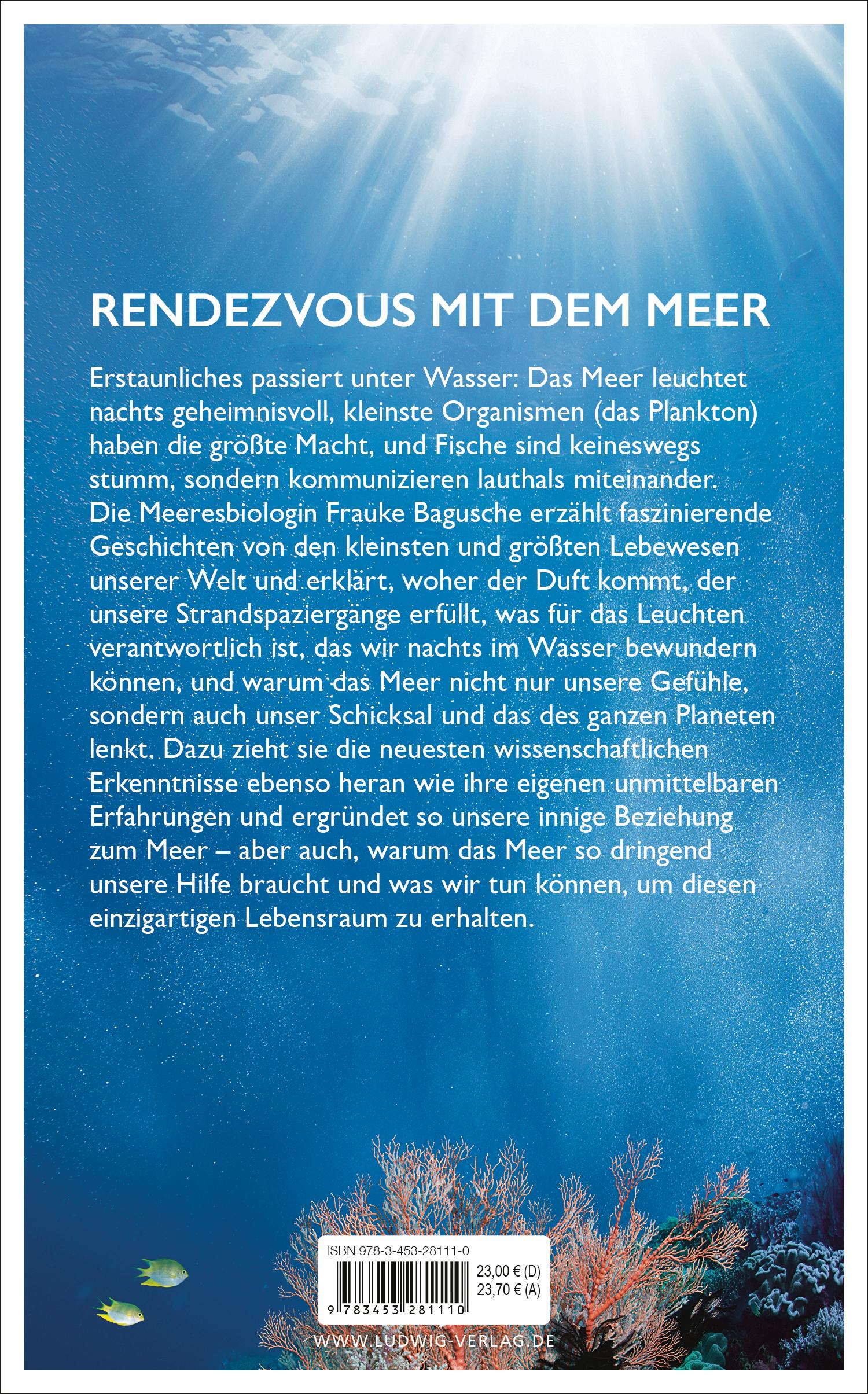 Beispielinhalt (Bild) Das blaue Wunder