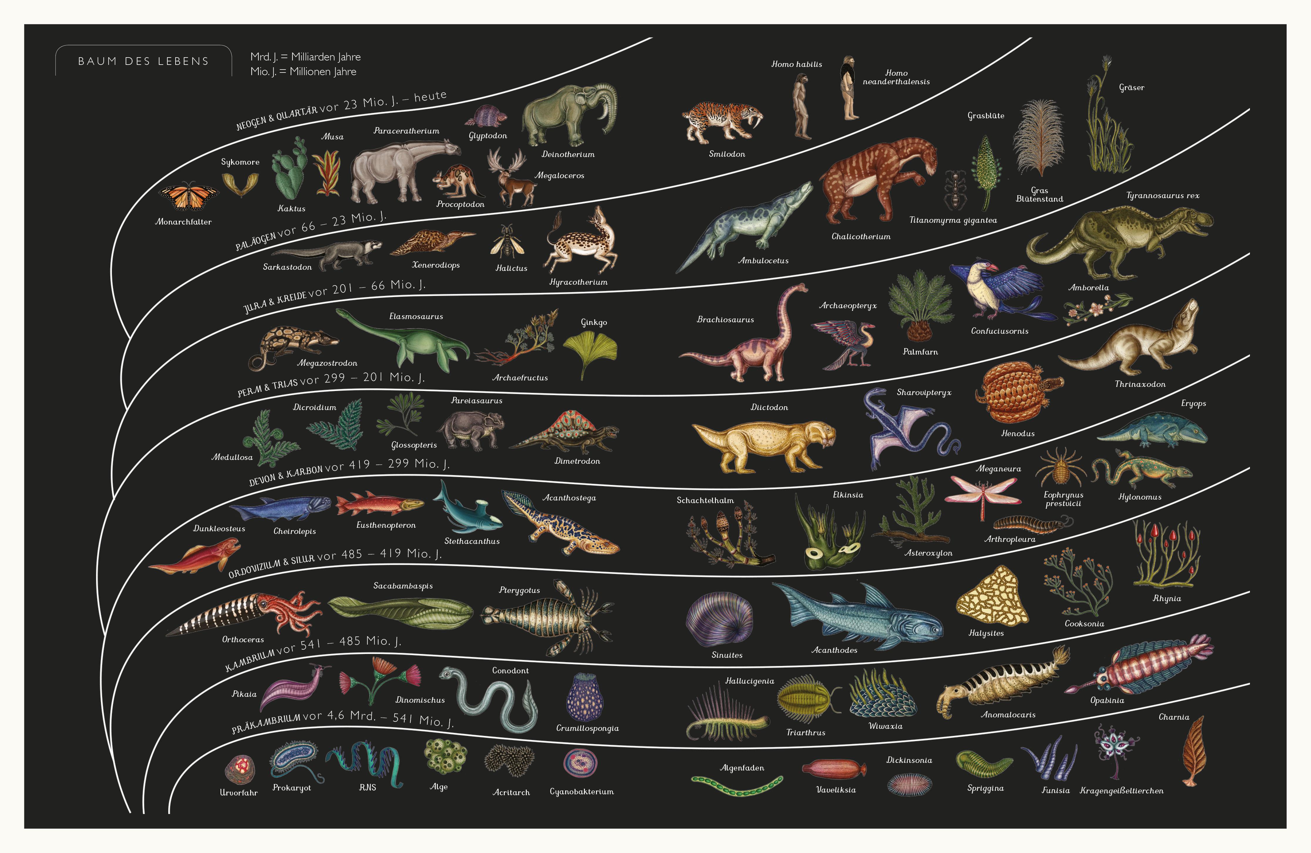 Beispielinhalt (Bild) Die Entstehung des Lebens. Evolution