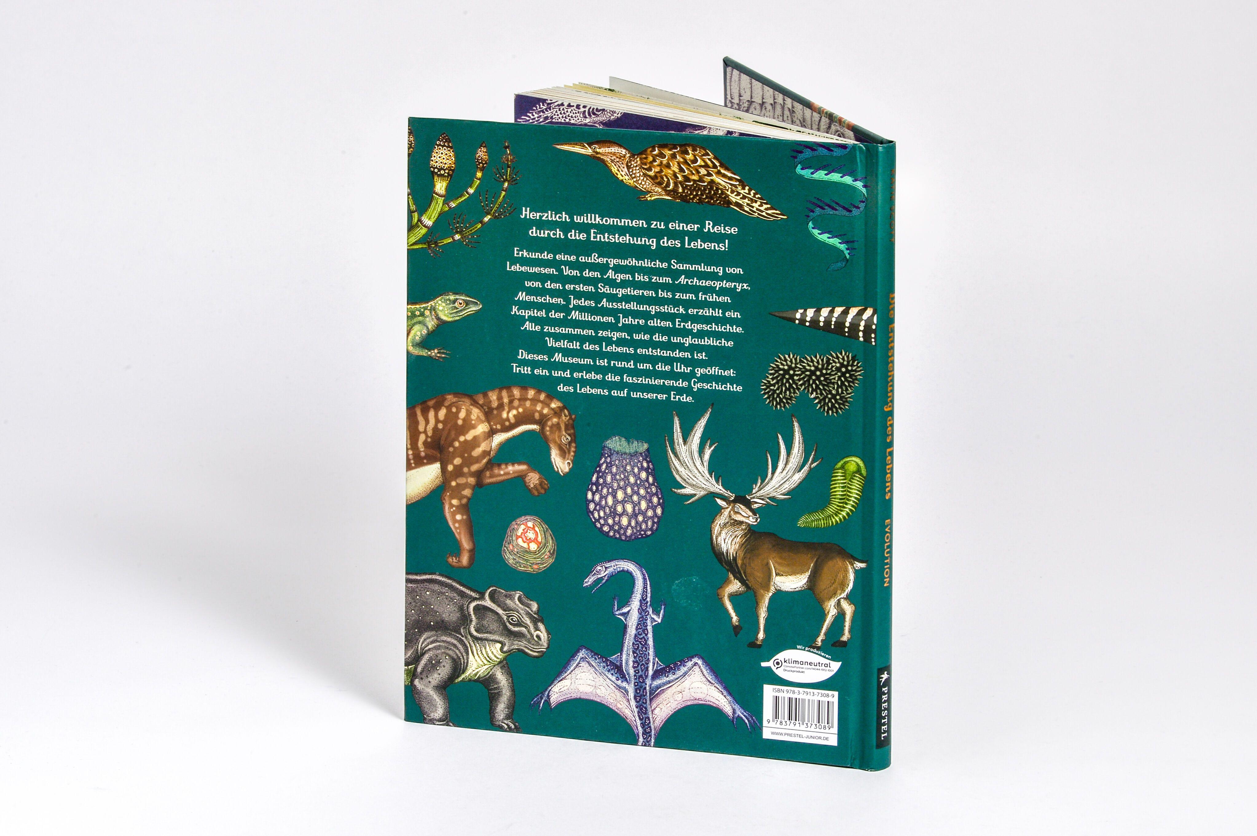 Beispielinhalt (Bild) Die Entstehung des Lebens. Evolution