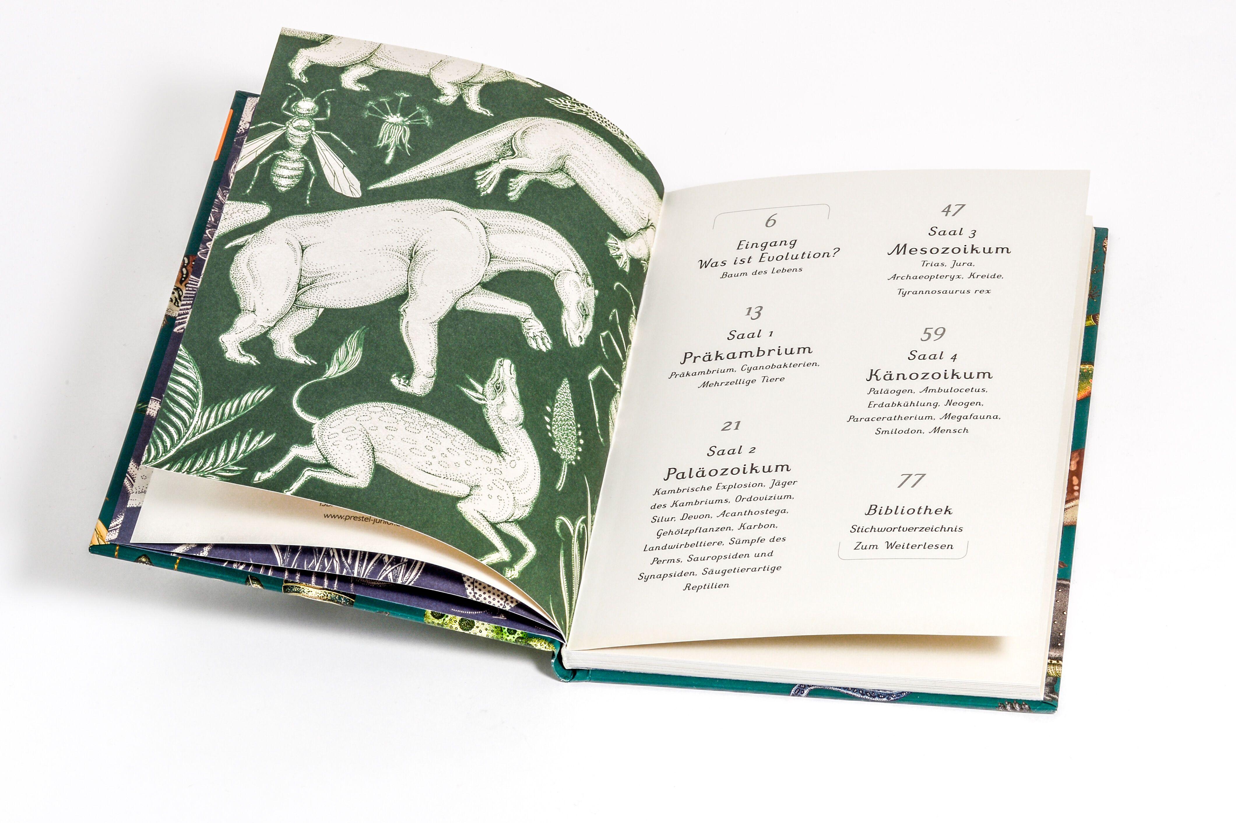 Beispielinhalt (Bild) Die Entstehung des Lebens. Evolution