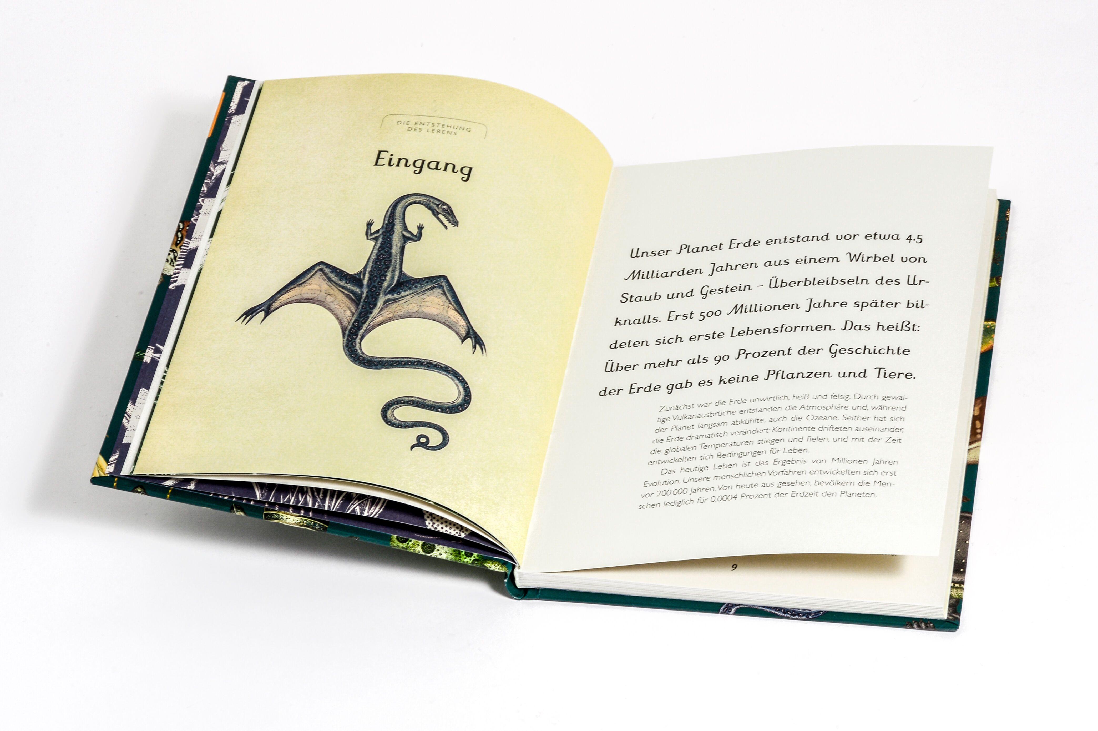 Beispielinhalt (Bild) Die Entstehung des Lebens. Evolution