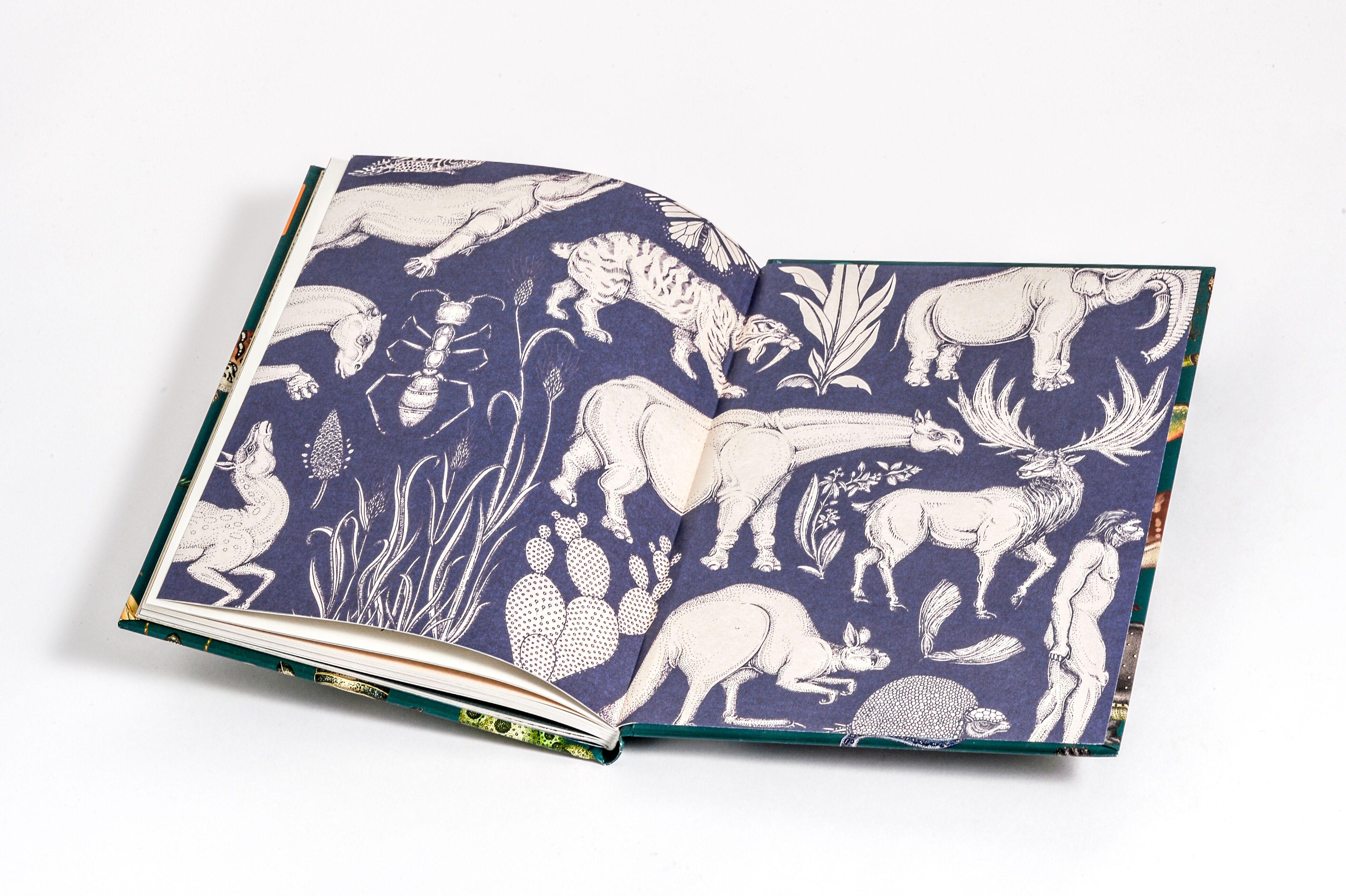 Beispielinhalt (Bild) Die Entstehung des Lebens. Evolution