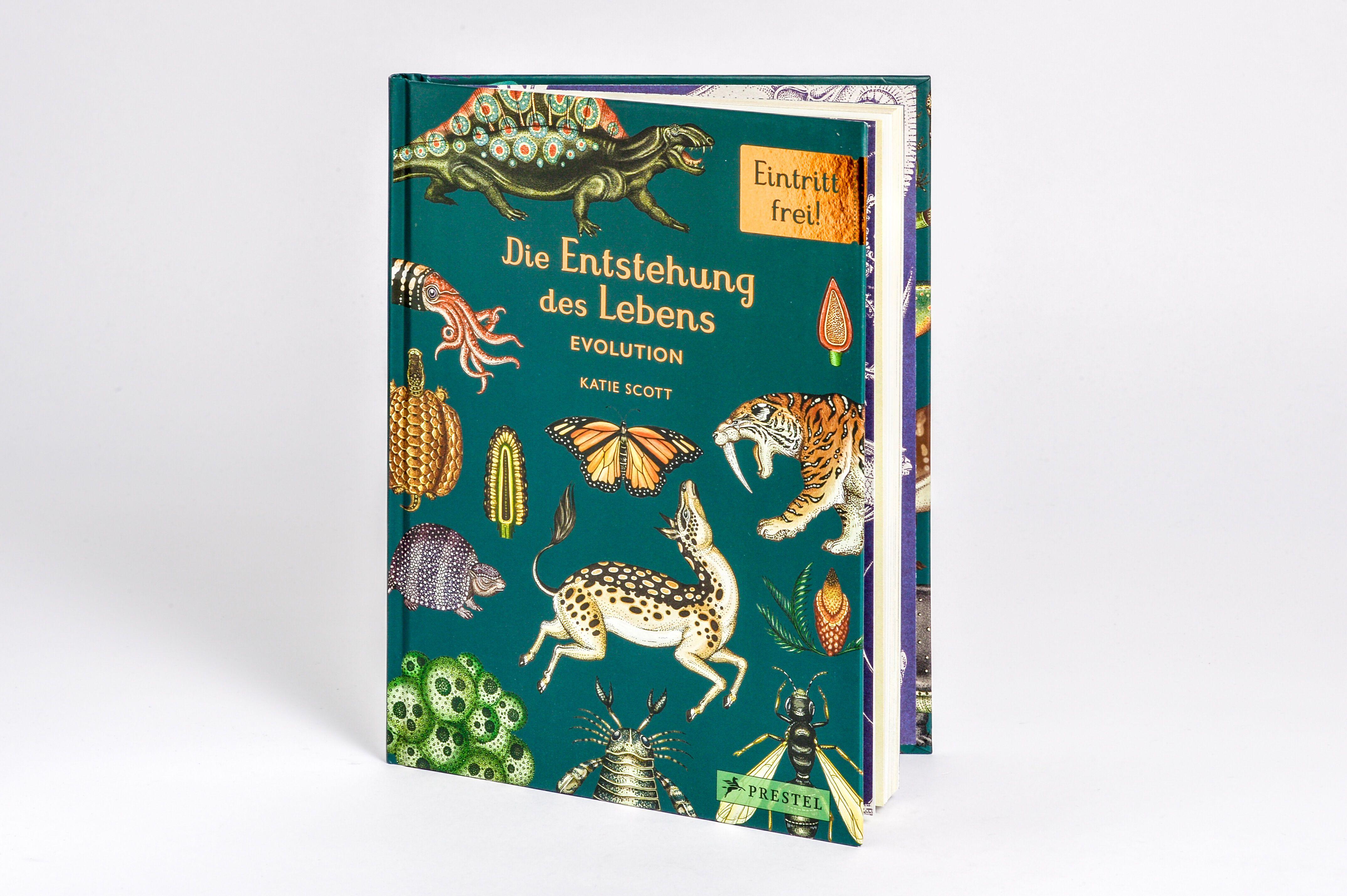 Beispielinhalt (Bild) Die Entstehung des Lebens. Evolution