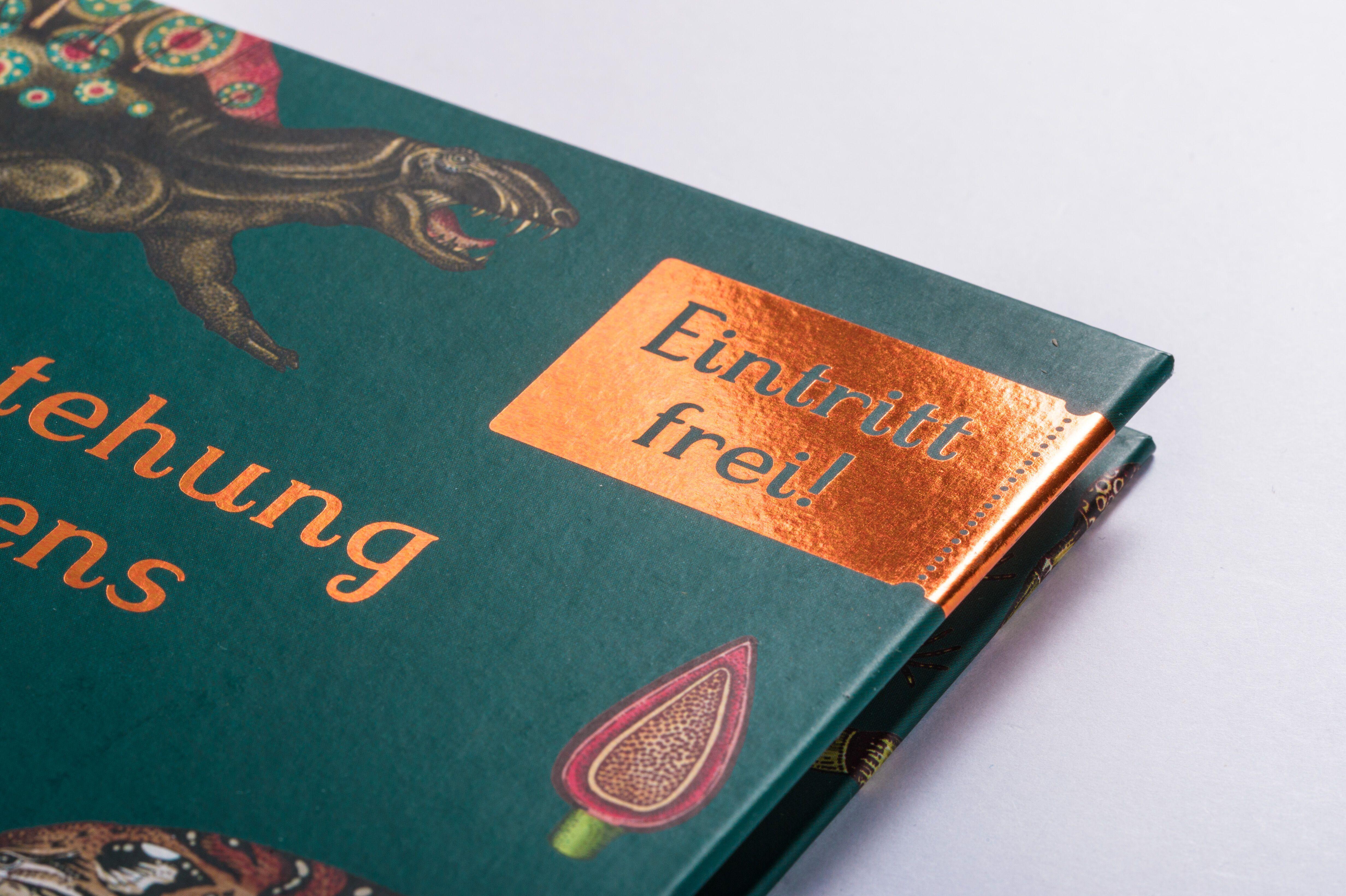 Beispielinhalt (Bild) Die Entstehung des Lebens. Evolution