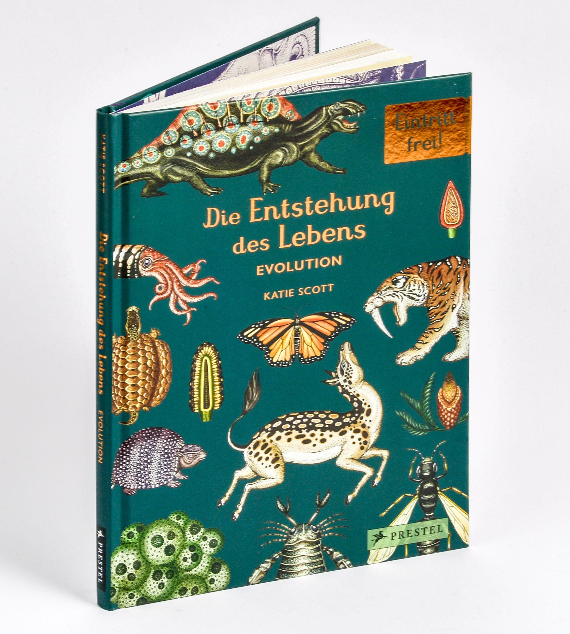 Vorderes Coverbild Die Entstehung des Lebens. Evolution