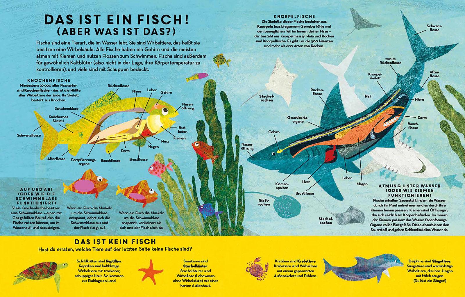 Beispielinhalt (Bild) Fische, Fische überall