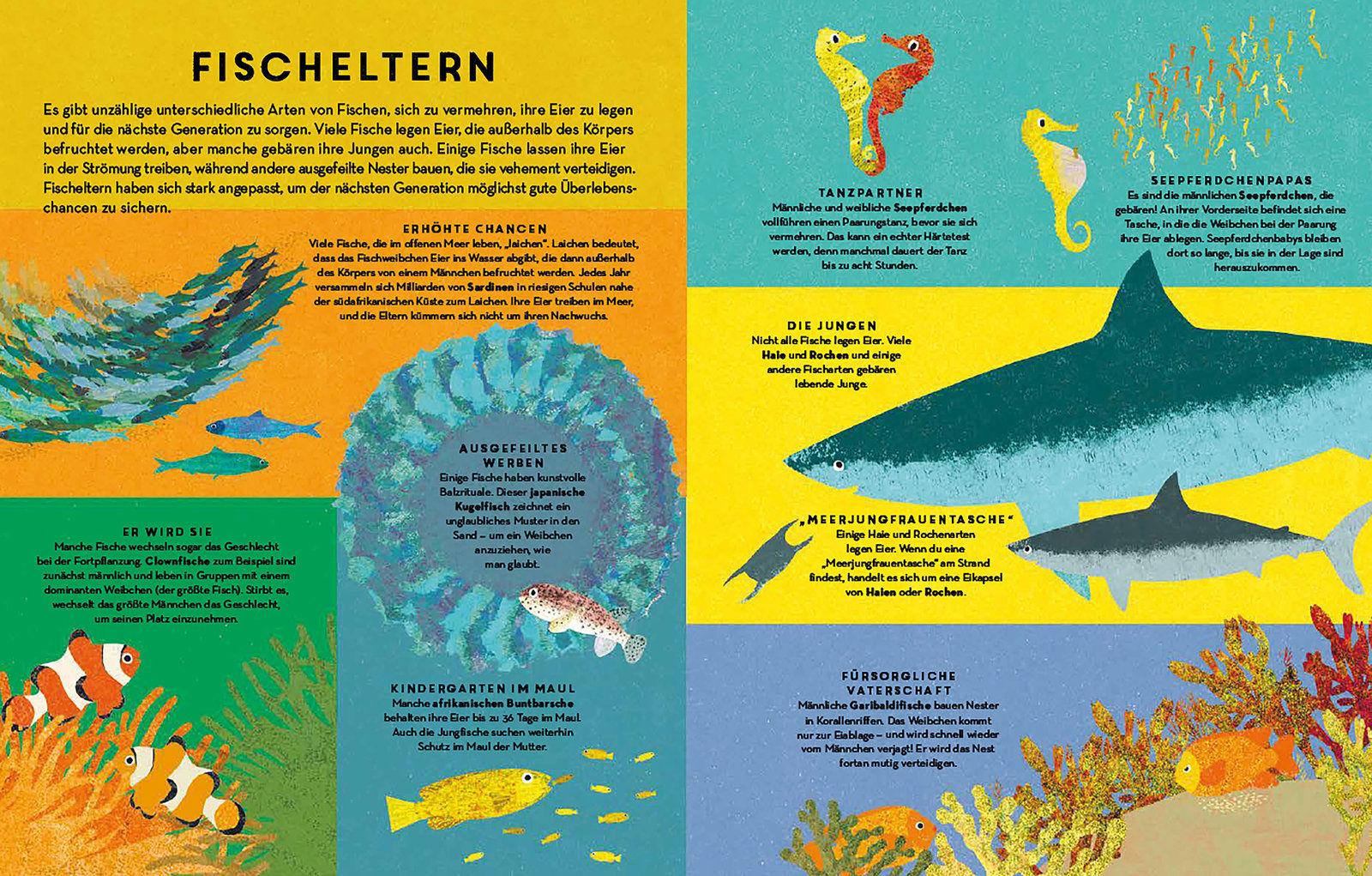 Beispielinhalt (Bild) Fische, Fische überall