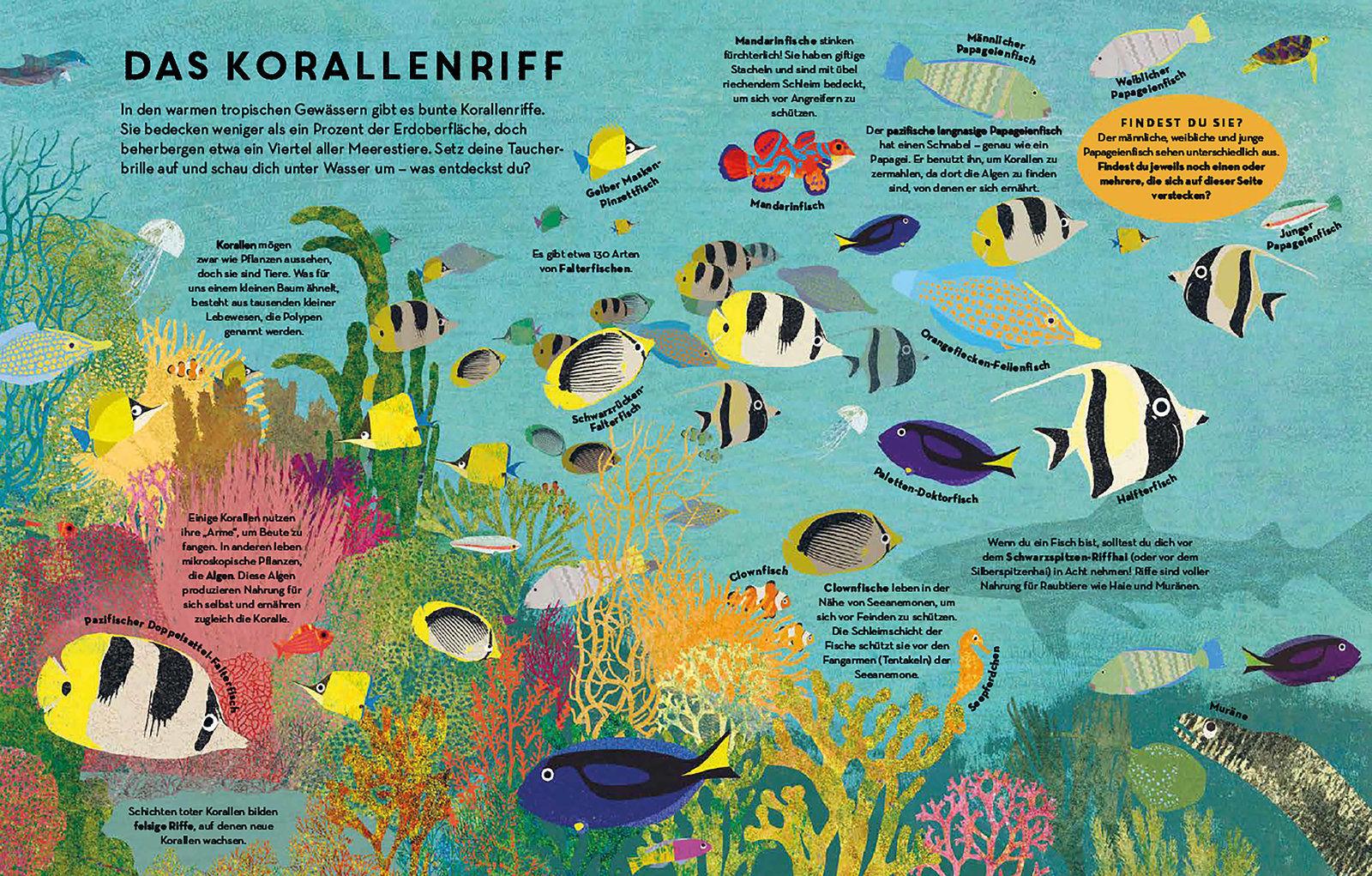 Beispielinhalt (Bild) Fische, Fische überall