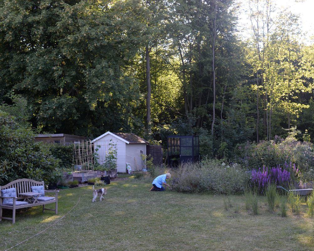 Beispielinhalt (Bild) Bin im Garten