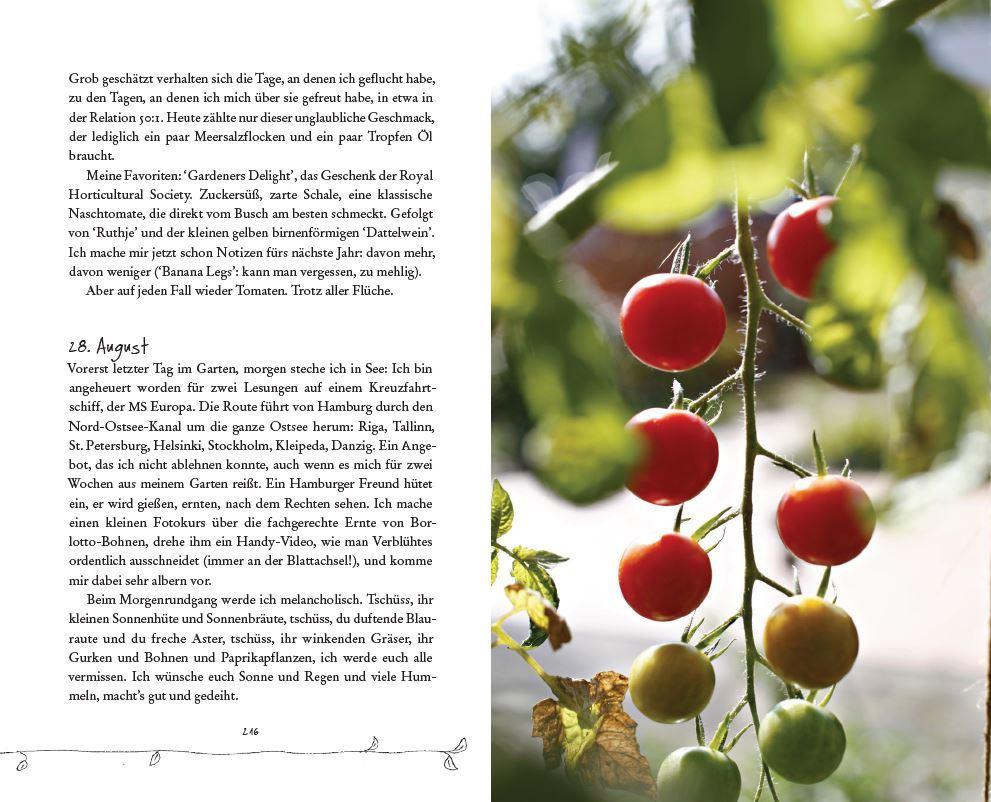 Beispielinhalt (Bild) Bin im Garten