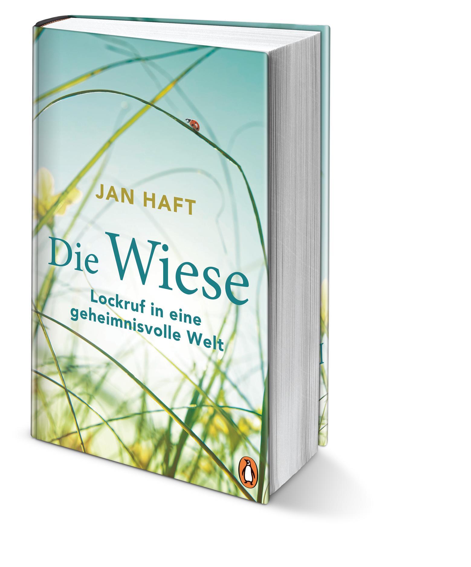 Beispielinhalt (Bild) Die Wiese