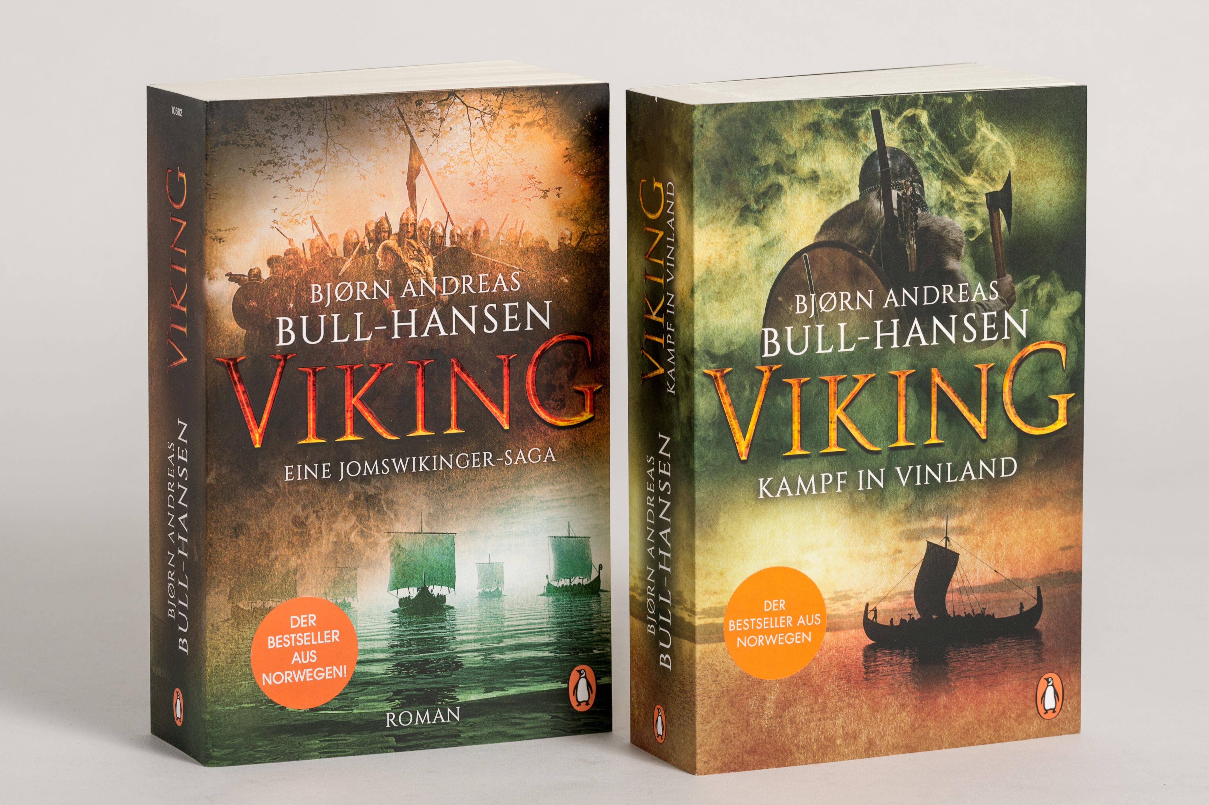 Beispielinhalt (Bild) VIKING