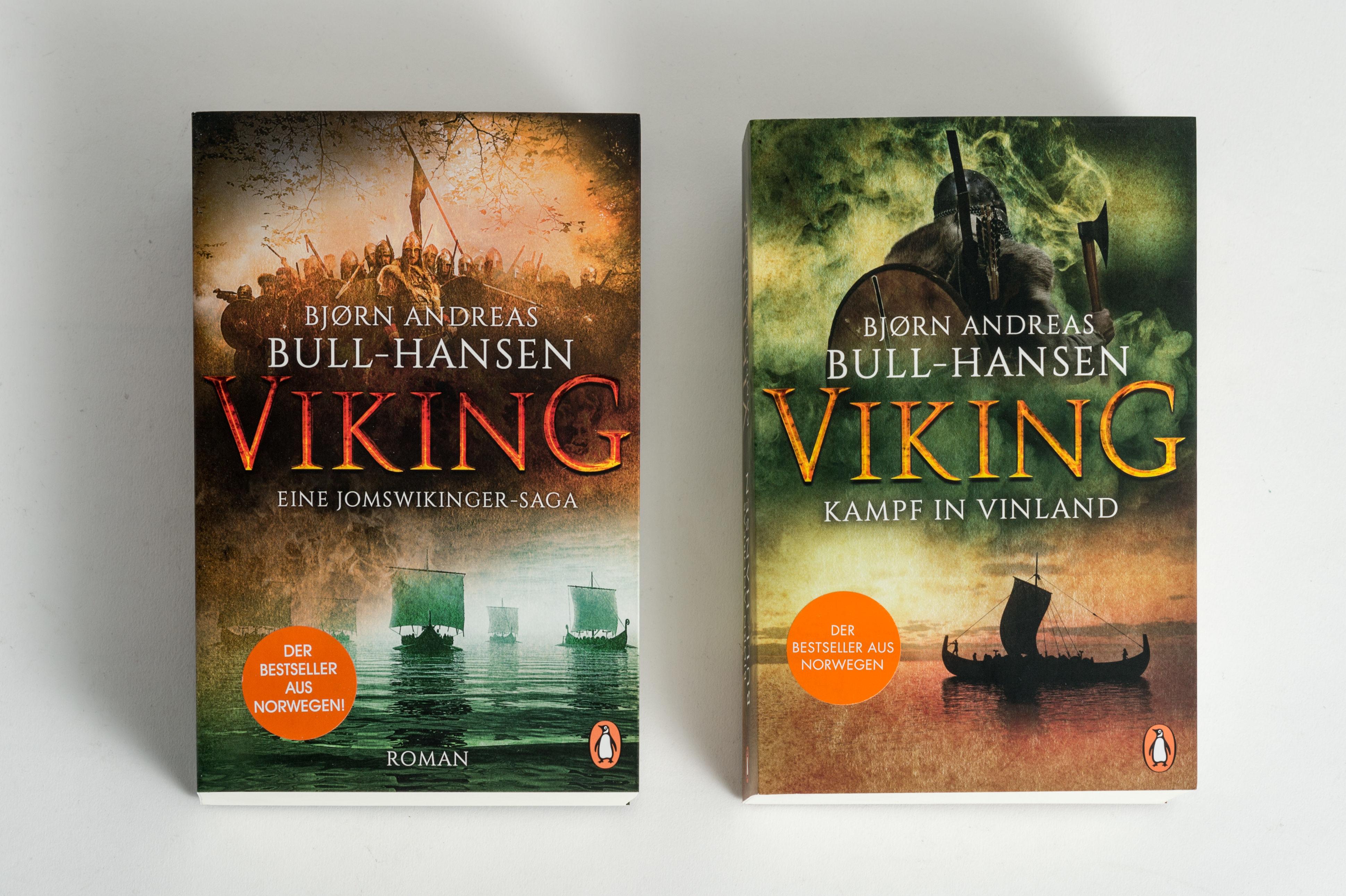 Beispielinhalt (Bild) VIKING