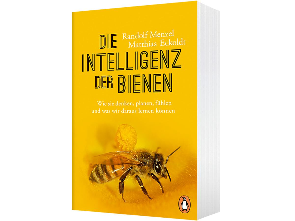 Beispielinhalt (Bild) Die Intelligenz der Bienen