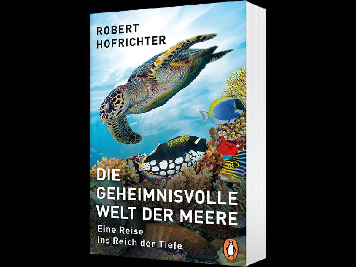 Beispielinhalt (Bild) Die geheimnisvolle Welt der Meere