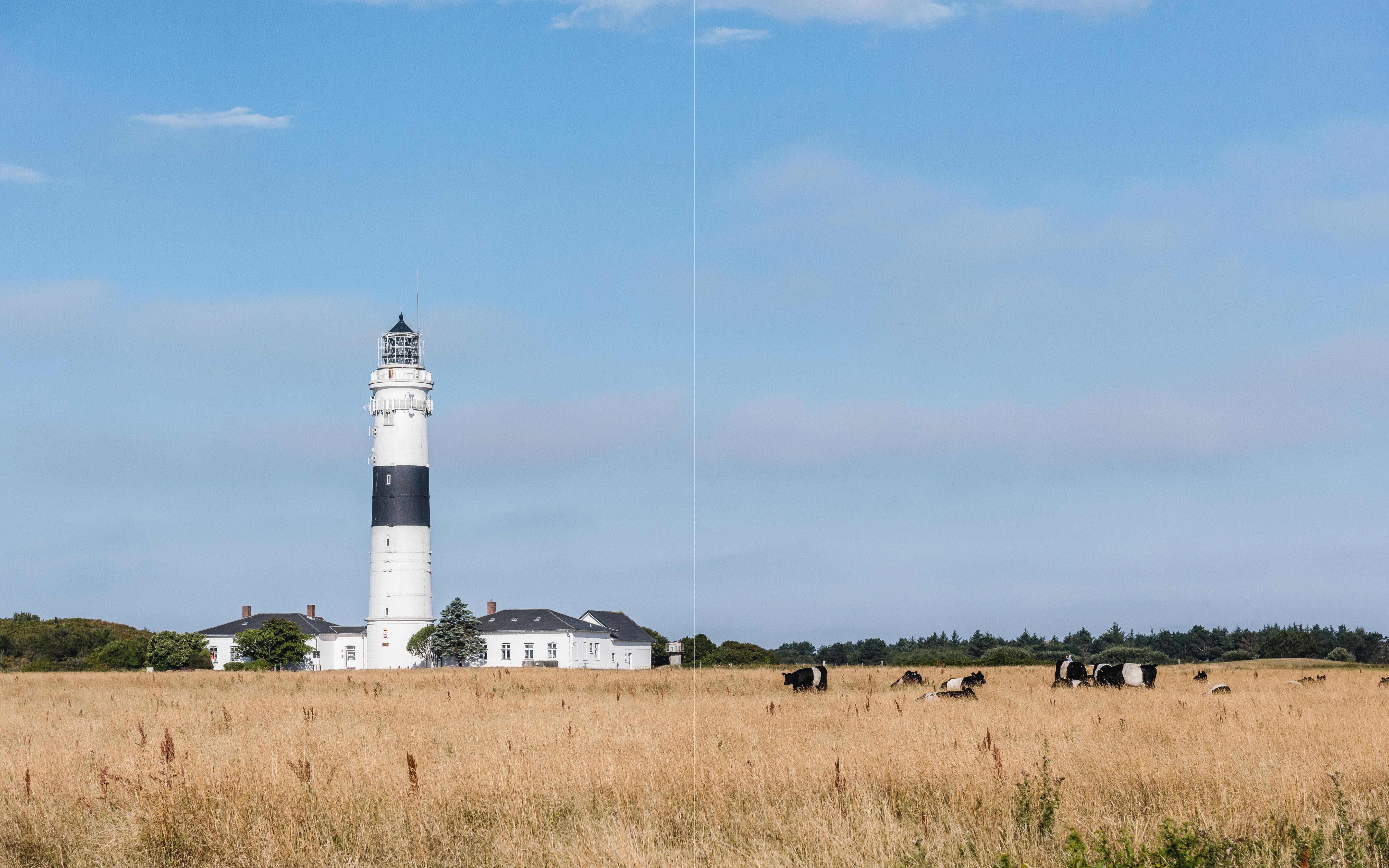 Beispielinhalt (Bild) Gärten auf Sylt