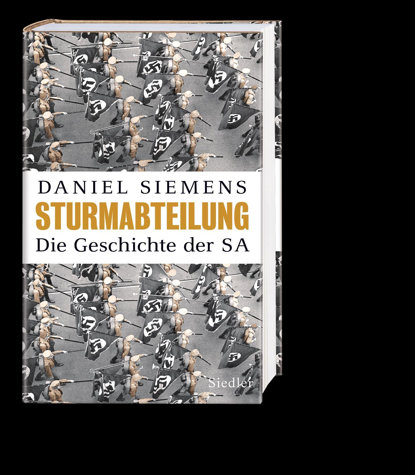 Beispielinhalt (Bild) Sturmabteilung