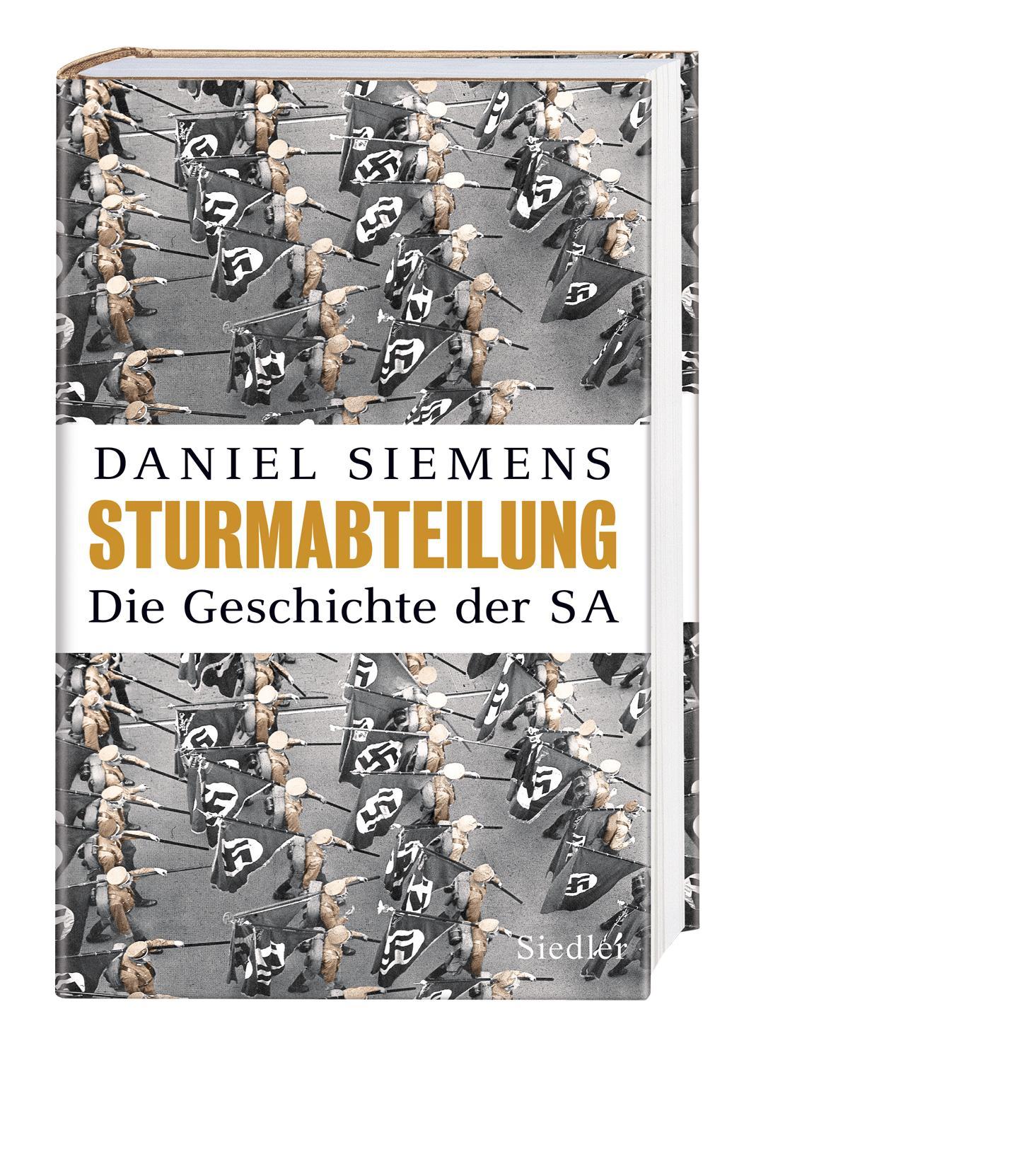 Beispielinhalt (Bild) Sturmabteilung