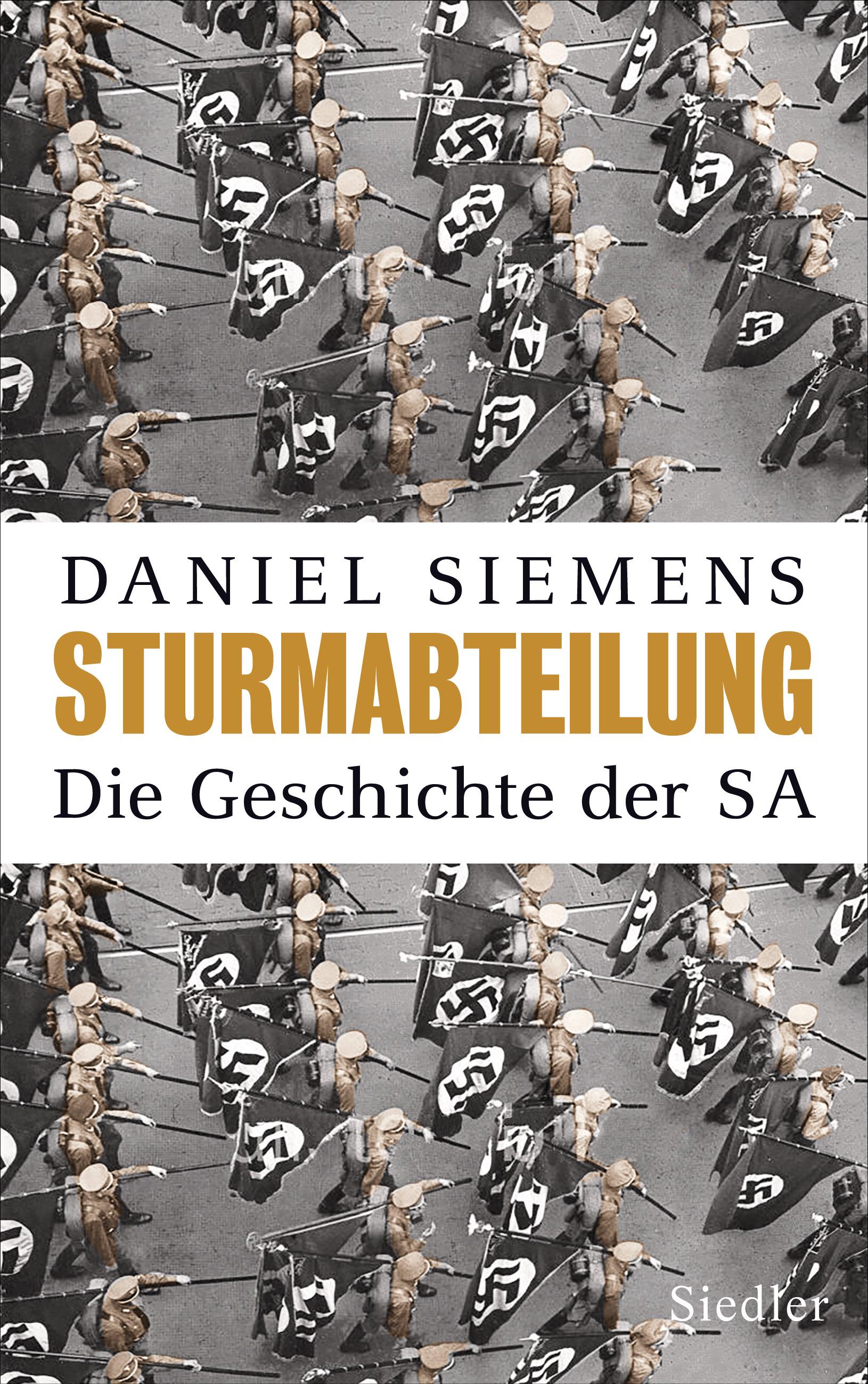 Vorderes Coverbild Sturmabteilung