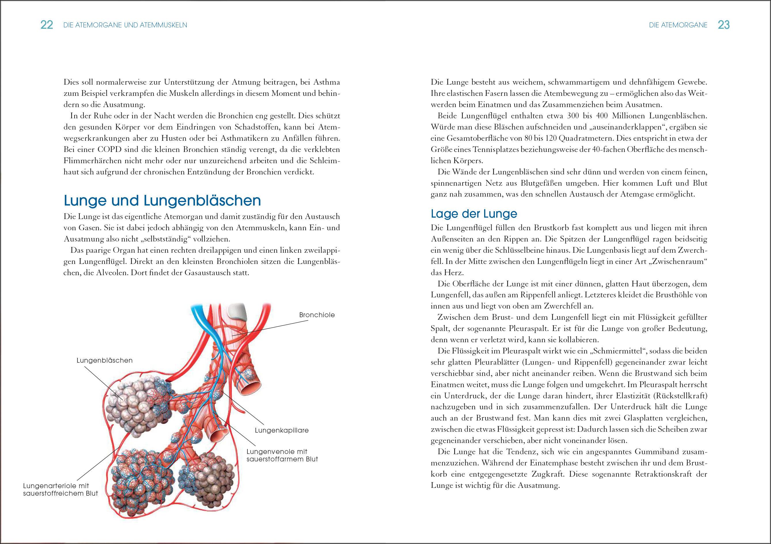 Beispielinhalt (Bild) Die kleine Atemschule bei COPD und Asthma