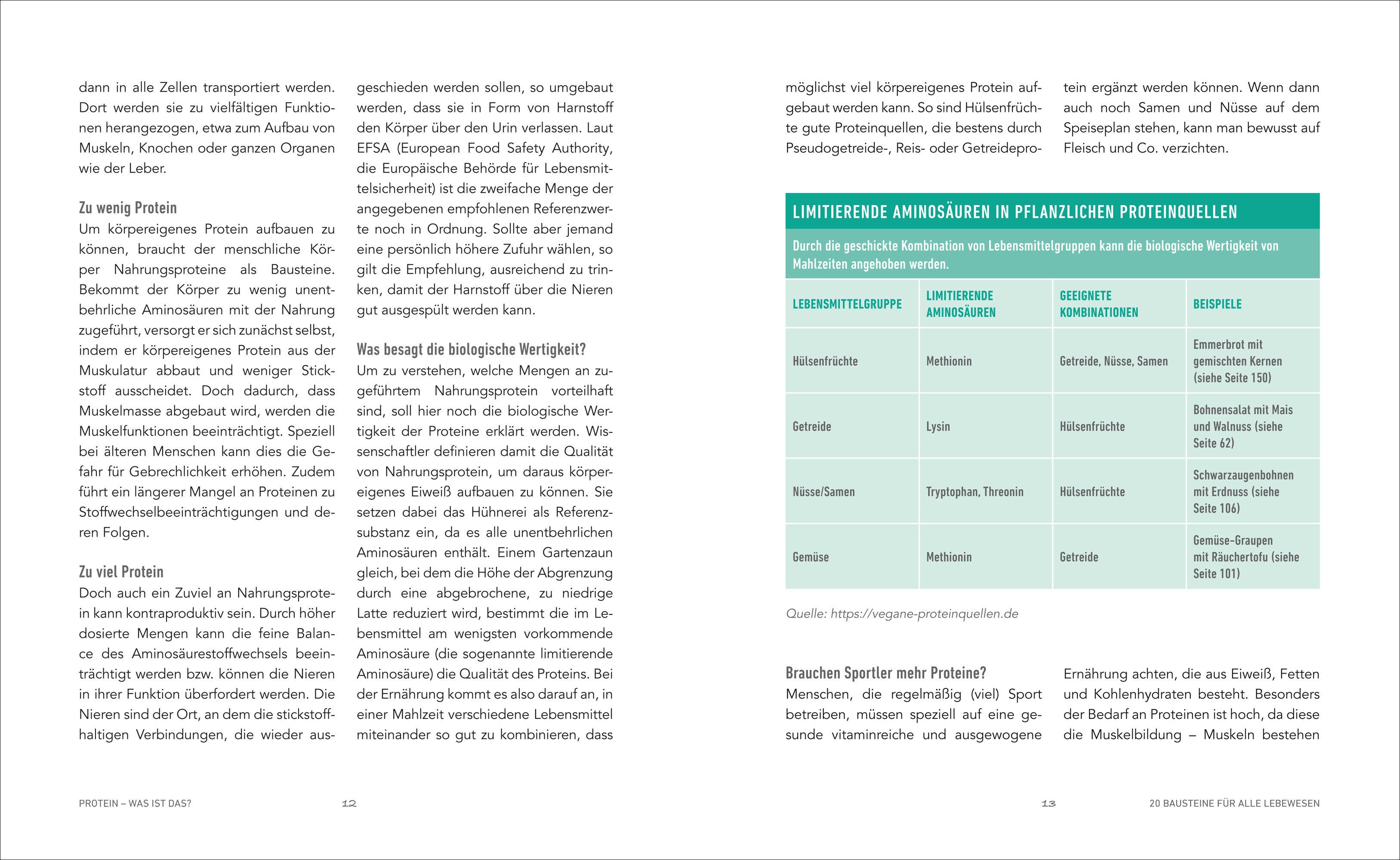 Beispielinhalt (Bild) Das Protein-Kochbuch: Gesund, fit und schlank durch pflanzliche Proteine - Die perfekte Alternative und Ergänzung zu tierischem Eiweiß