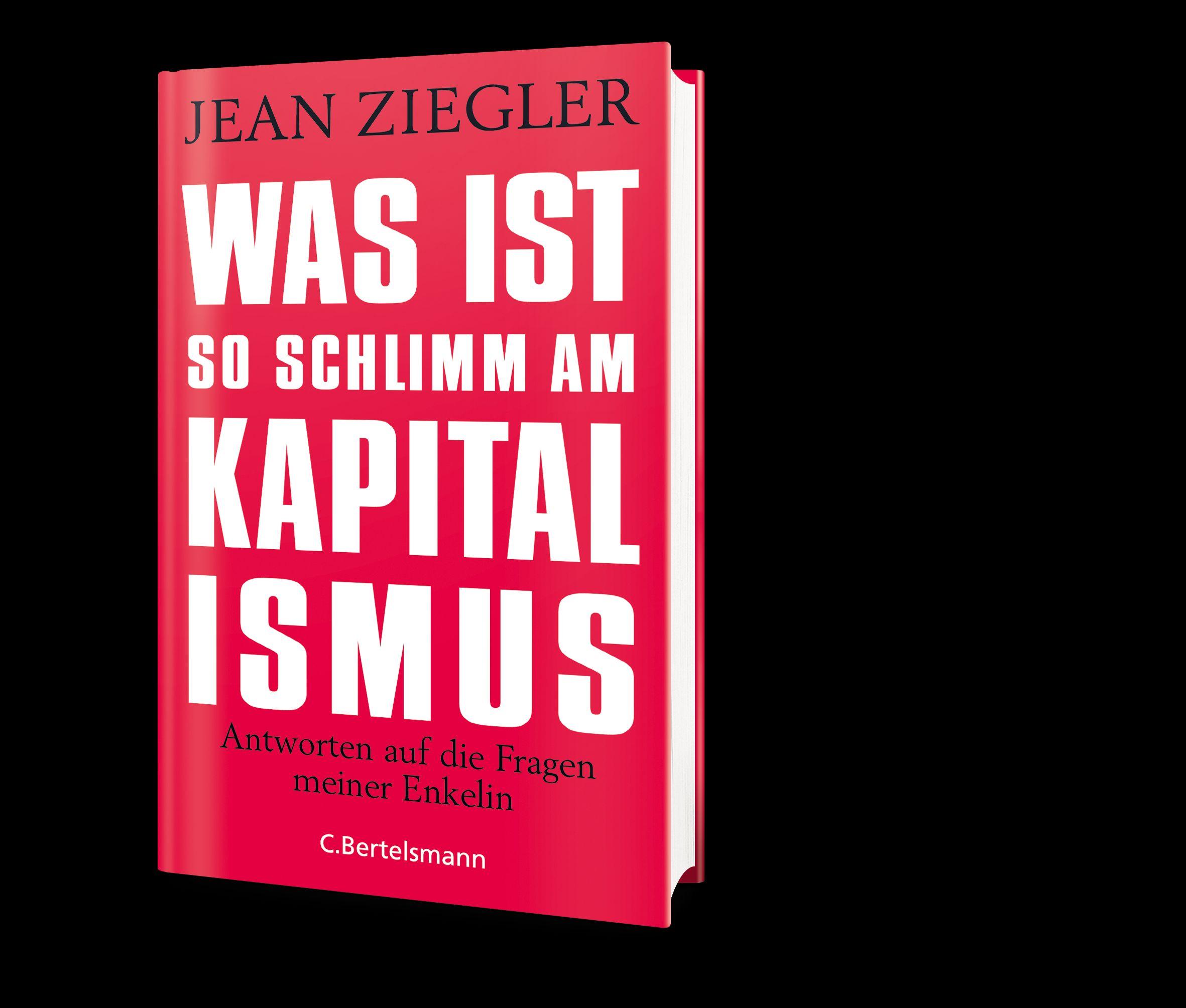 Beispielinhalt (Bild) Was ist so schlimm am Kapitalismus?