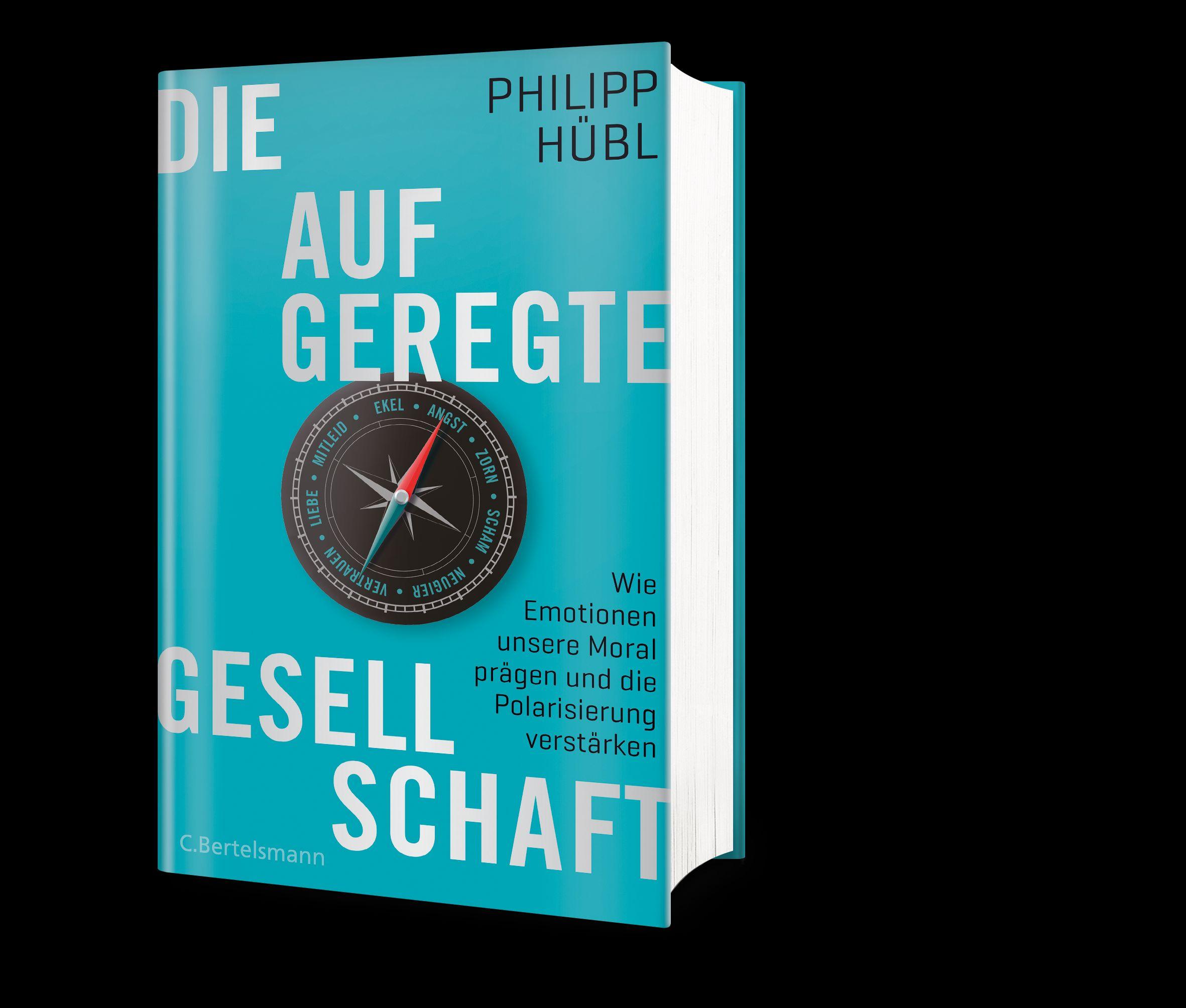 Beispielinhalt (Bild) Die aufgeregte Gesellschaft