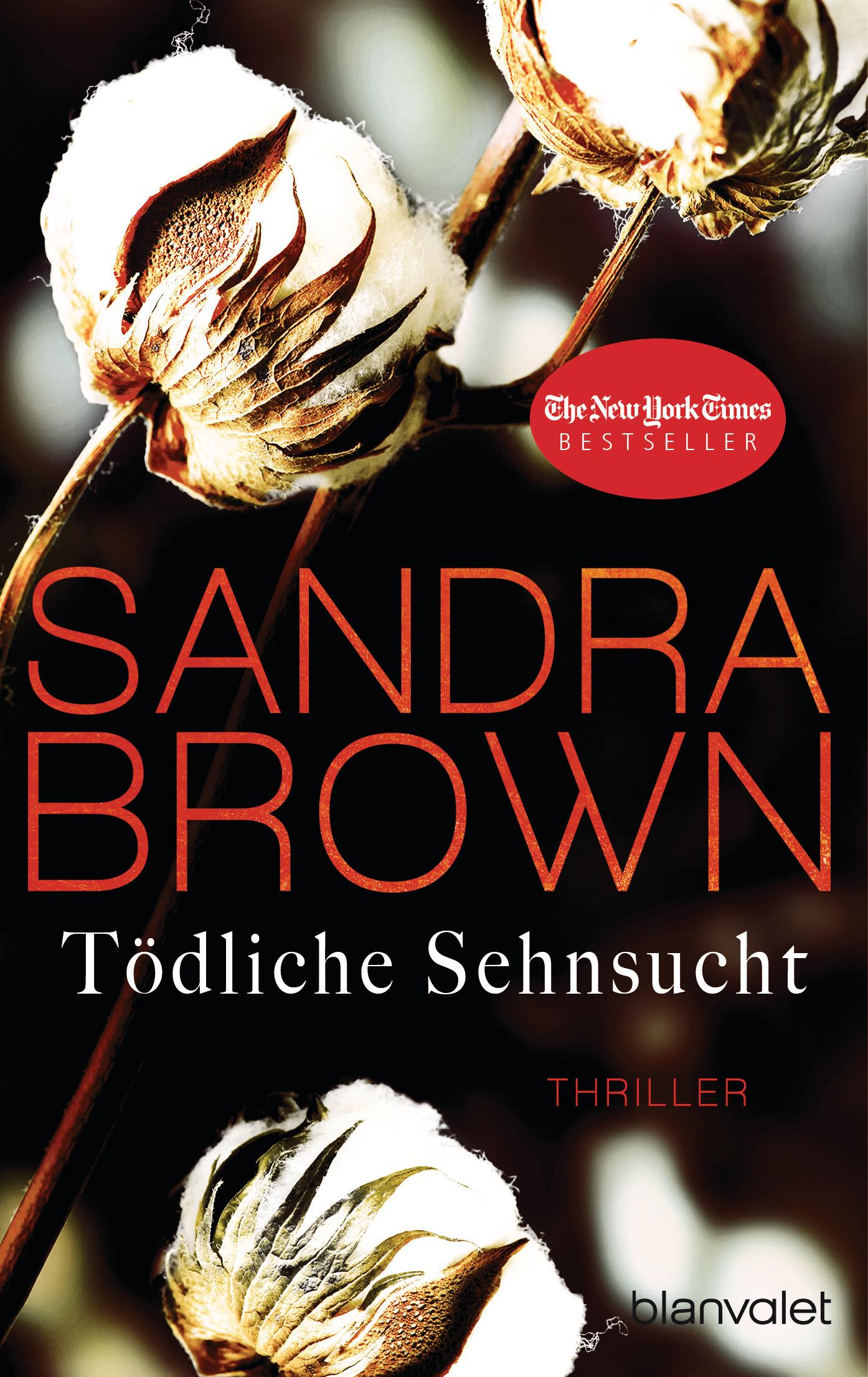 Vorderes Coverbild Tödliche Sehnsucht