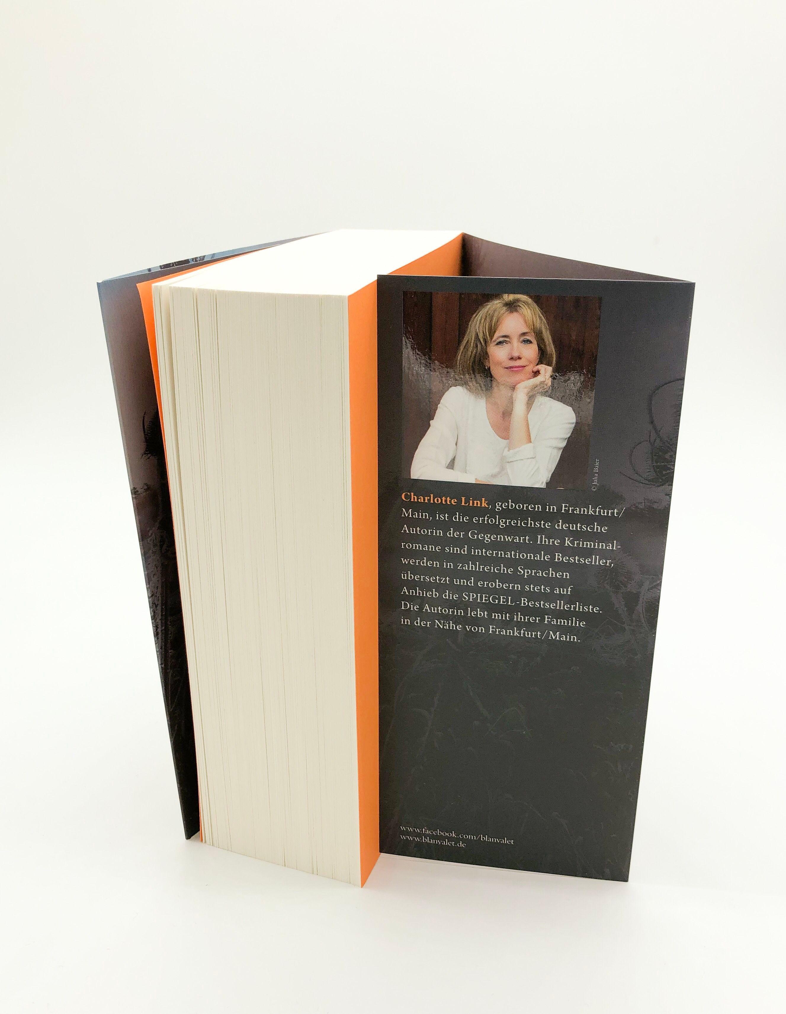 Beispielinhalt (Bild) Das andere Kind