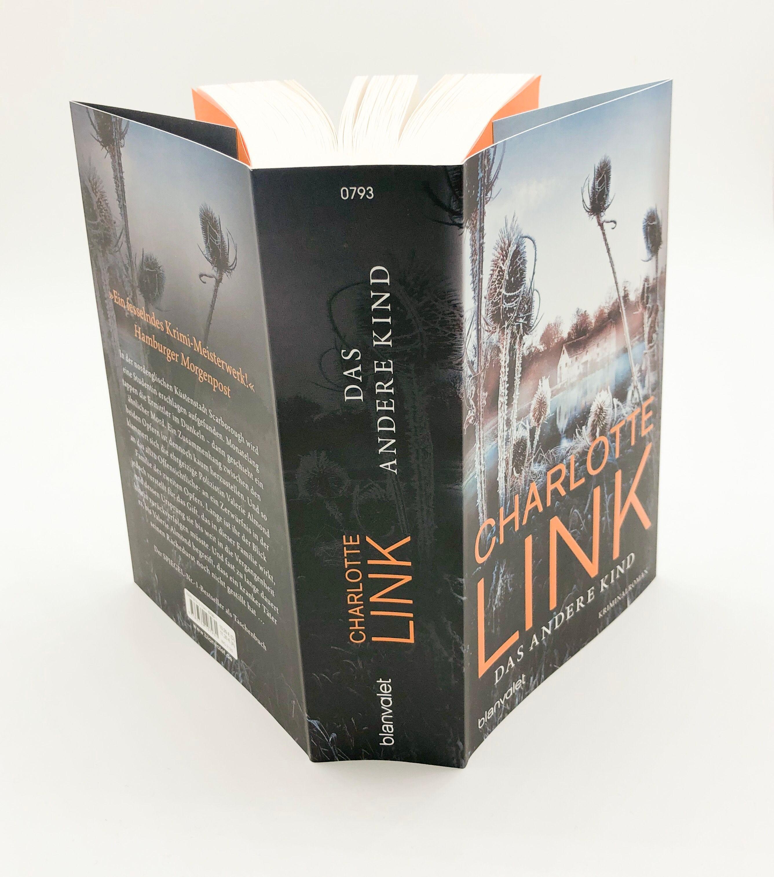 Beispielinhalt (Bild) Das andere Kind