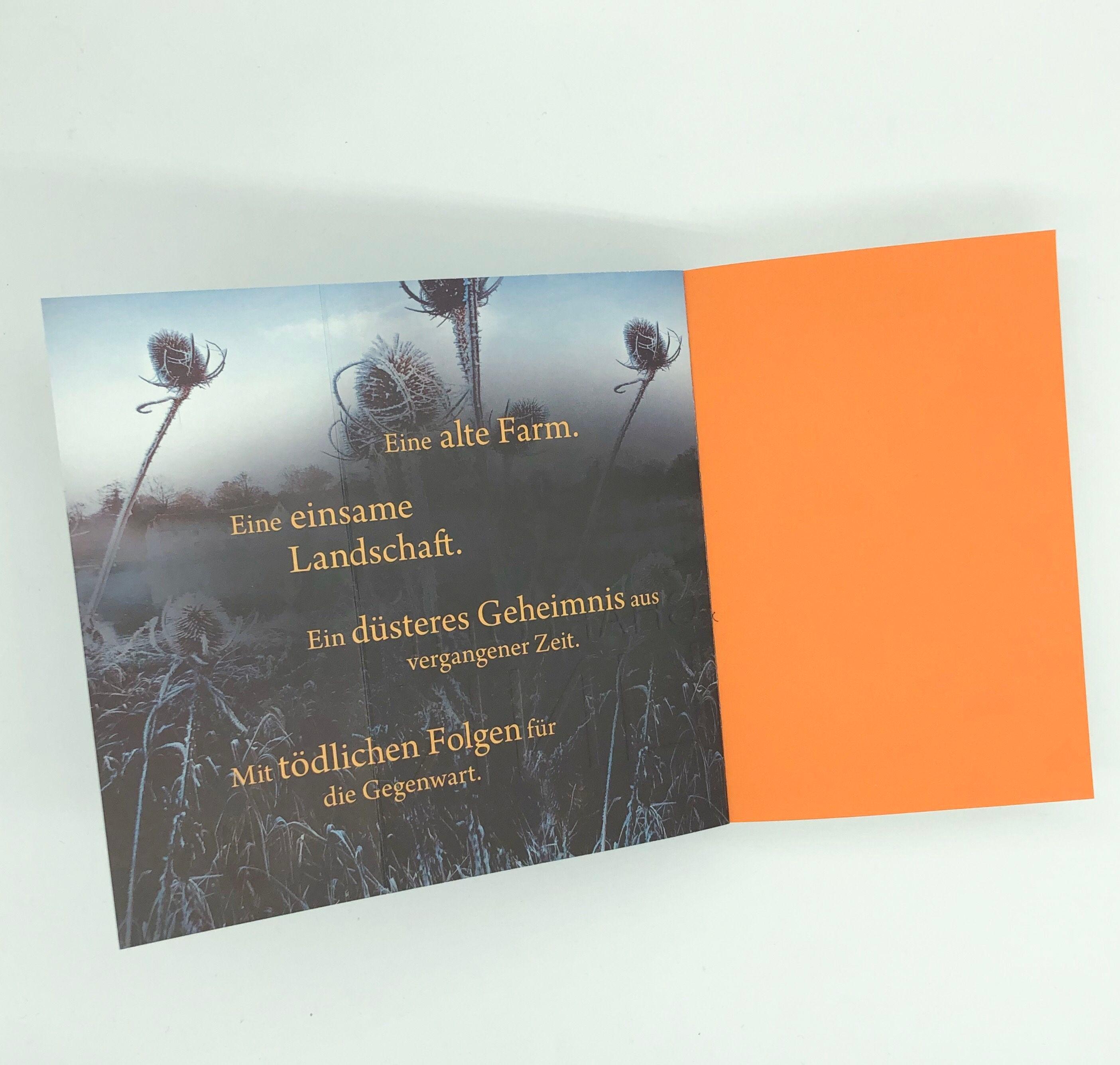 Beispielinhalt (Bild) Das andere Kind