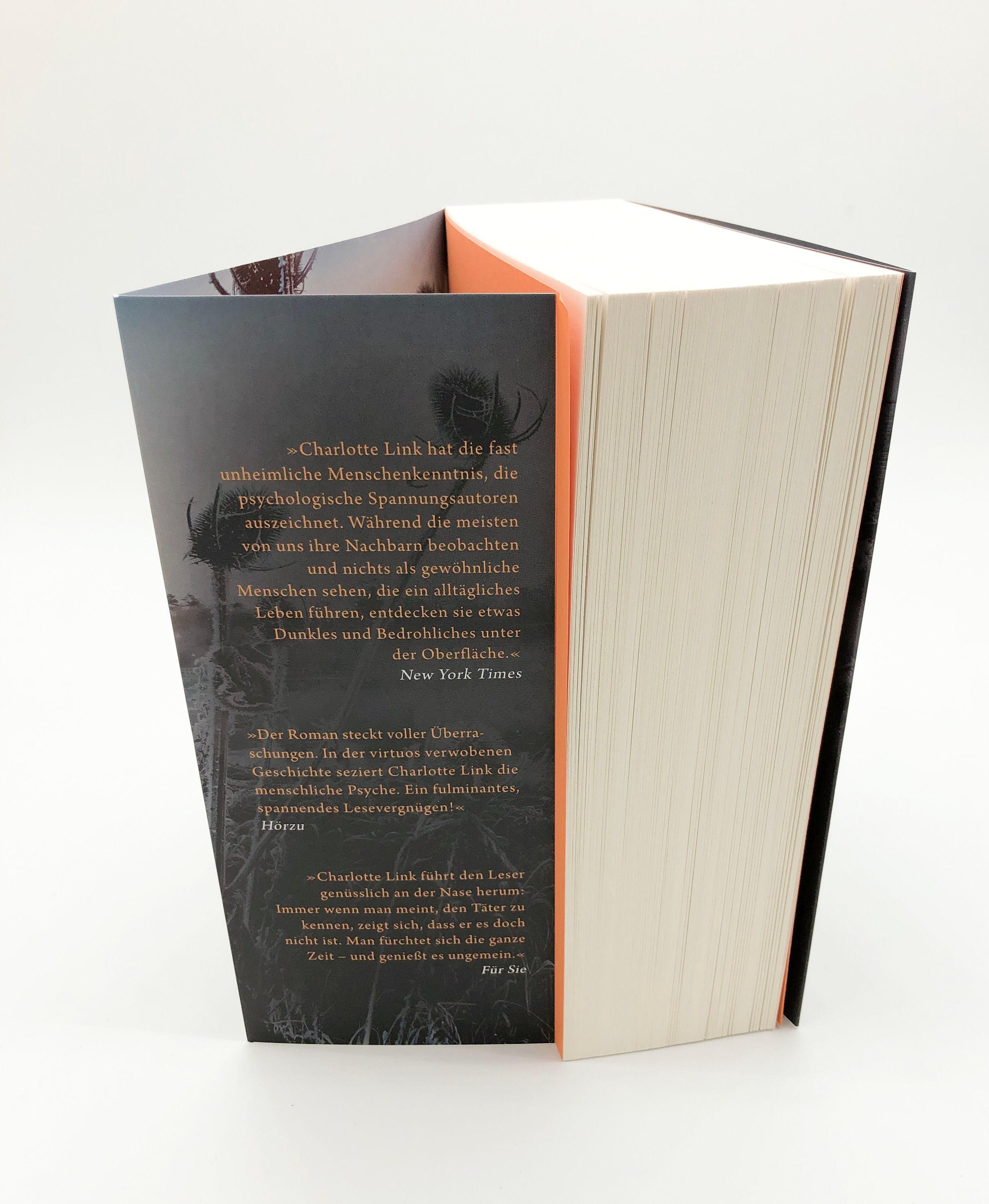 Beispielinhalt (Bild) Das andere Kind