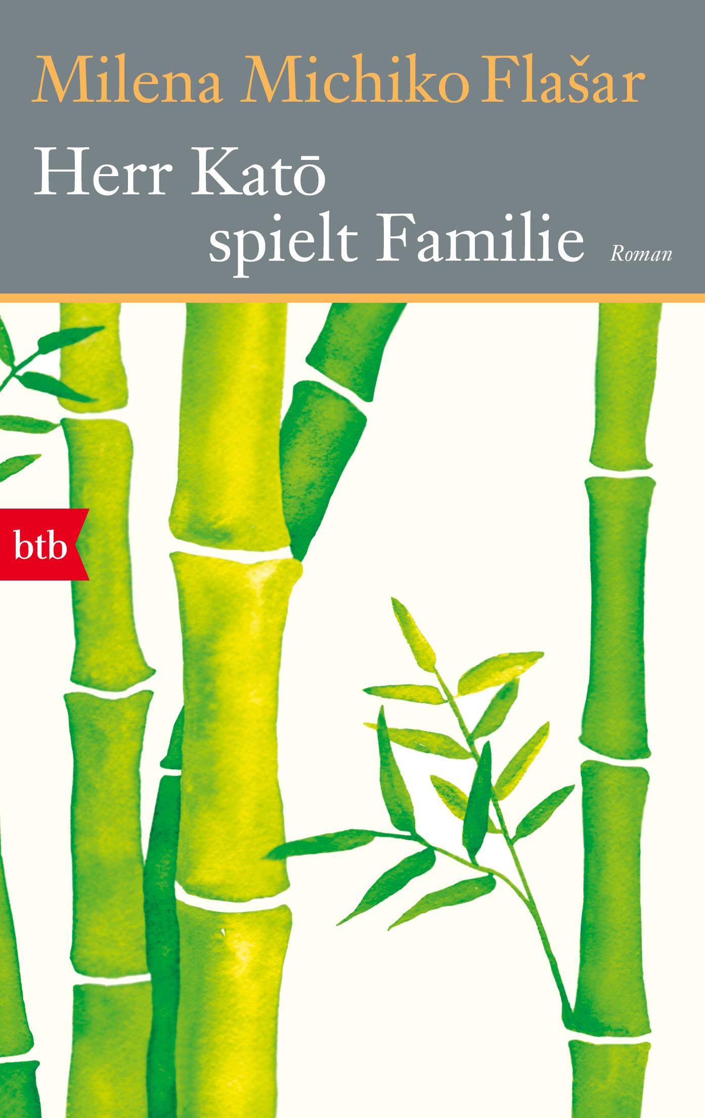 Vorderes Coverbild Herr Kato spielt Familie