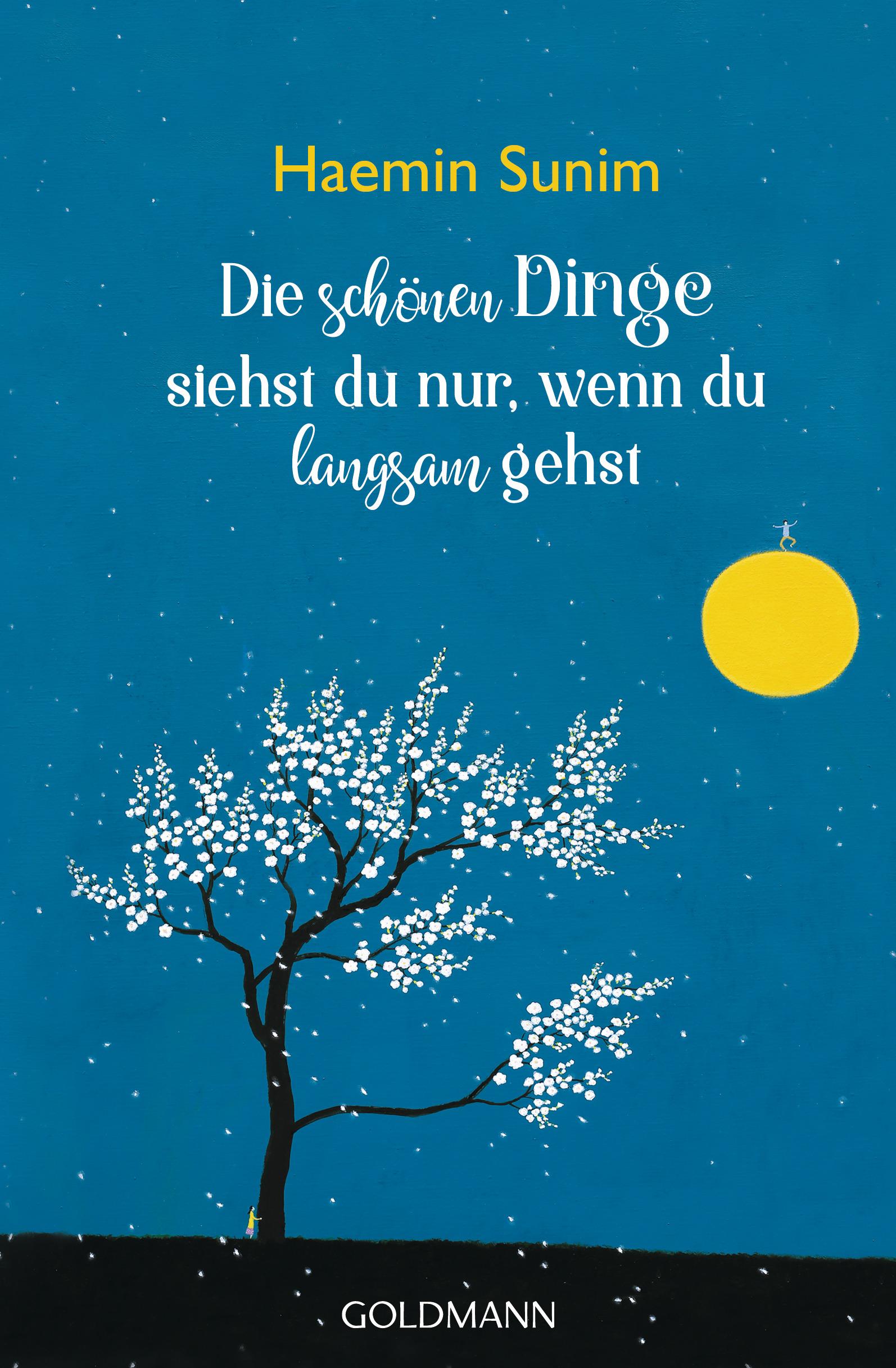 Vorderes Coverbild Die schönen Dinge siehst du nur, wenn du langsam gehst