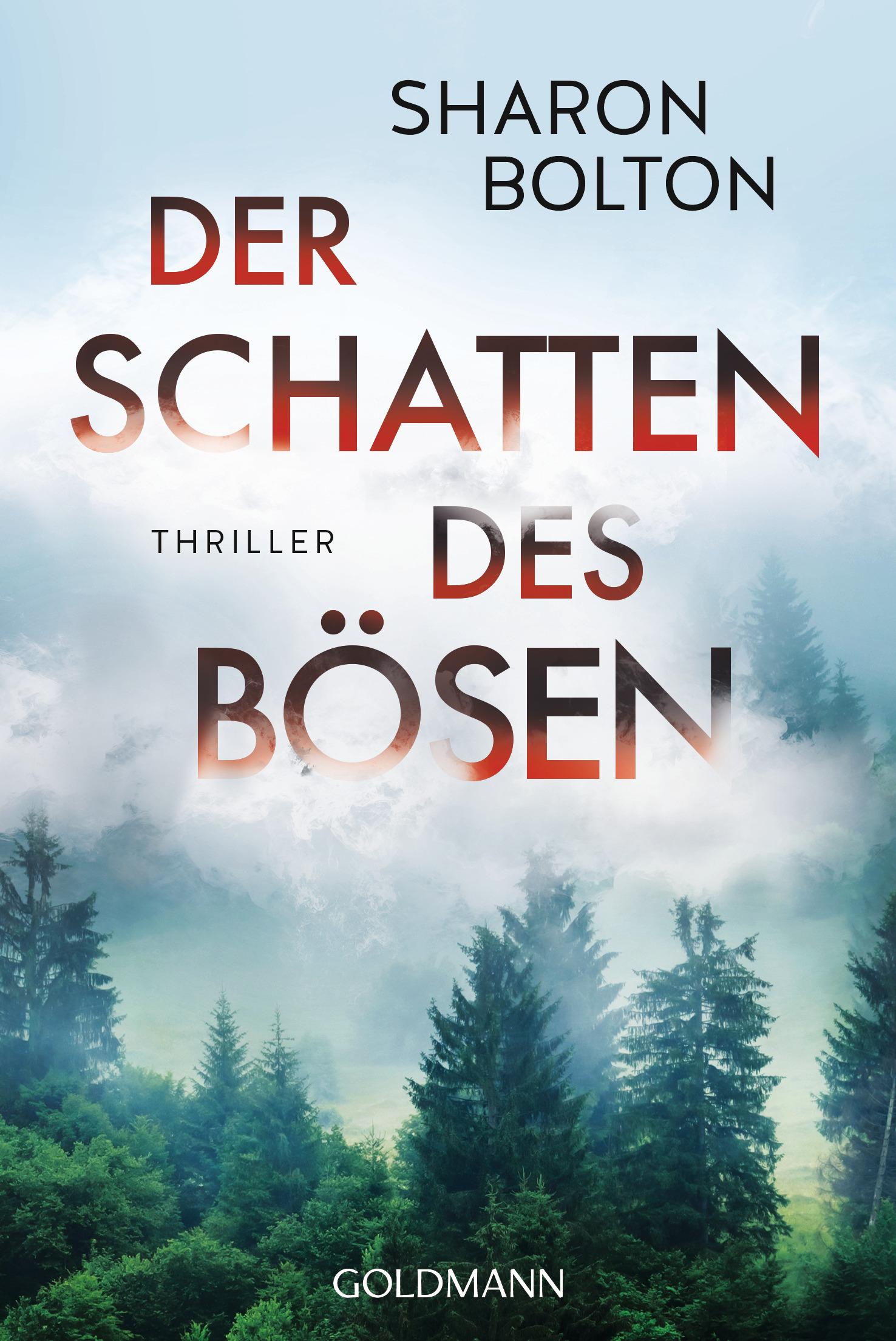 Vorderes Coverbild Der Schatten des Bösen
