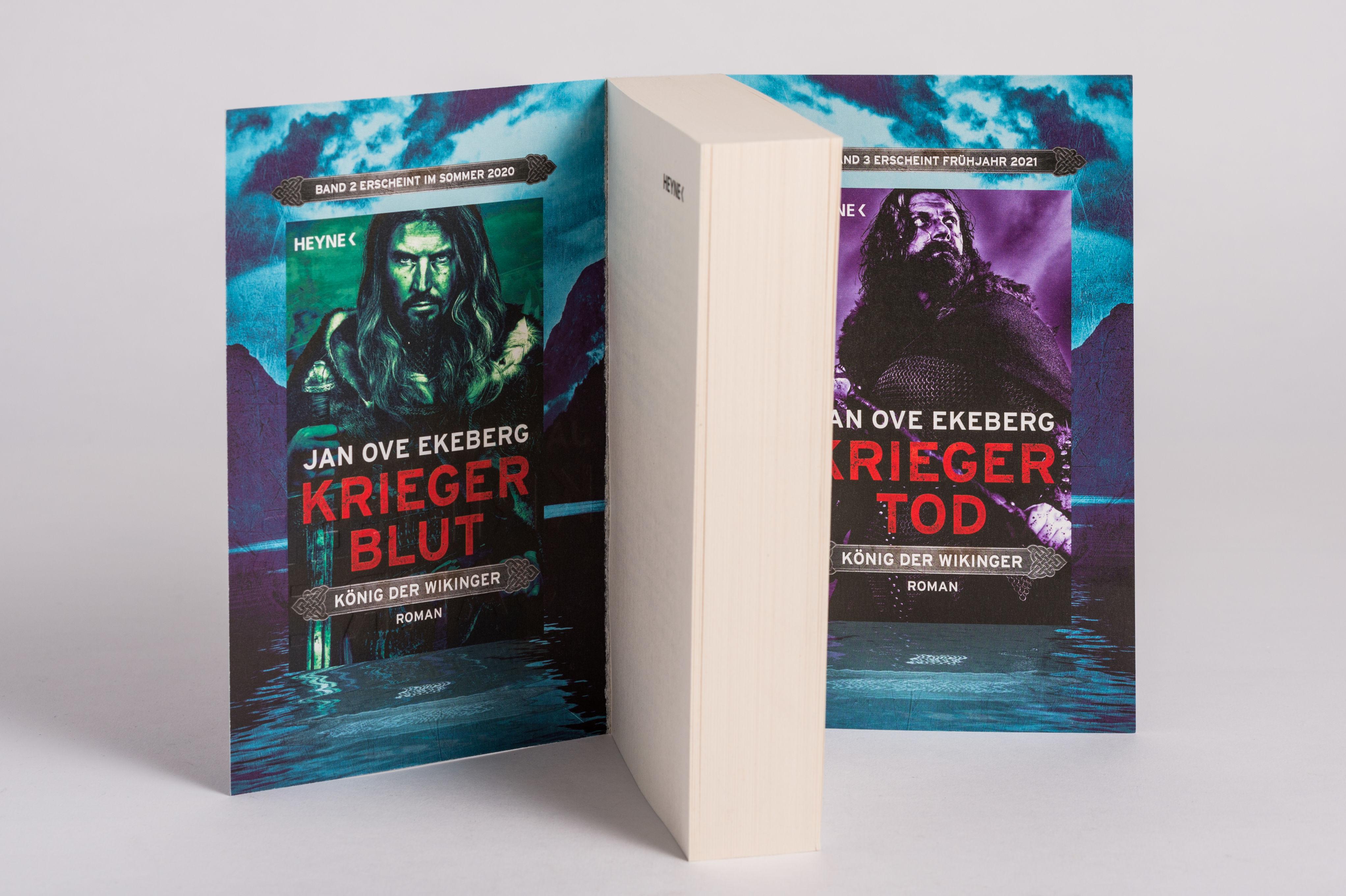 Beispielinhalt (Bild) Kriegerjahre - König der Wikinger