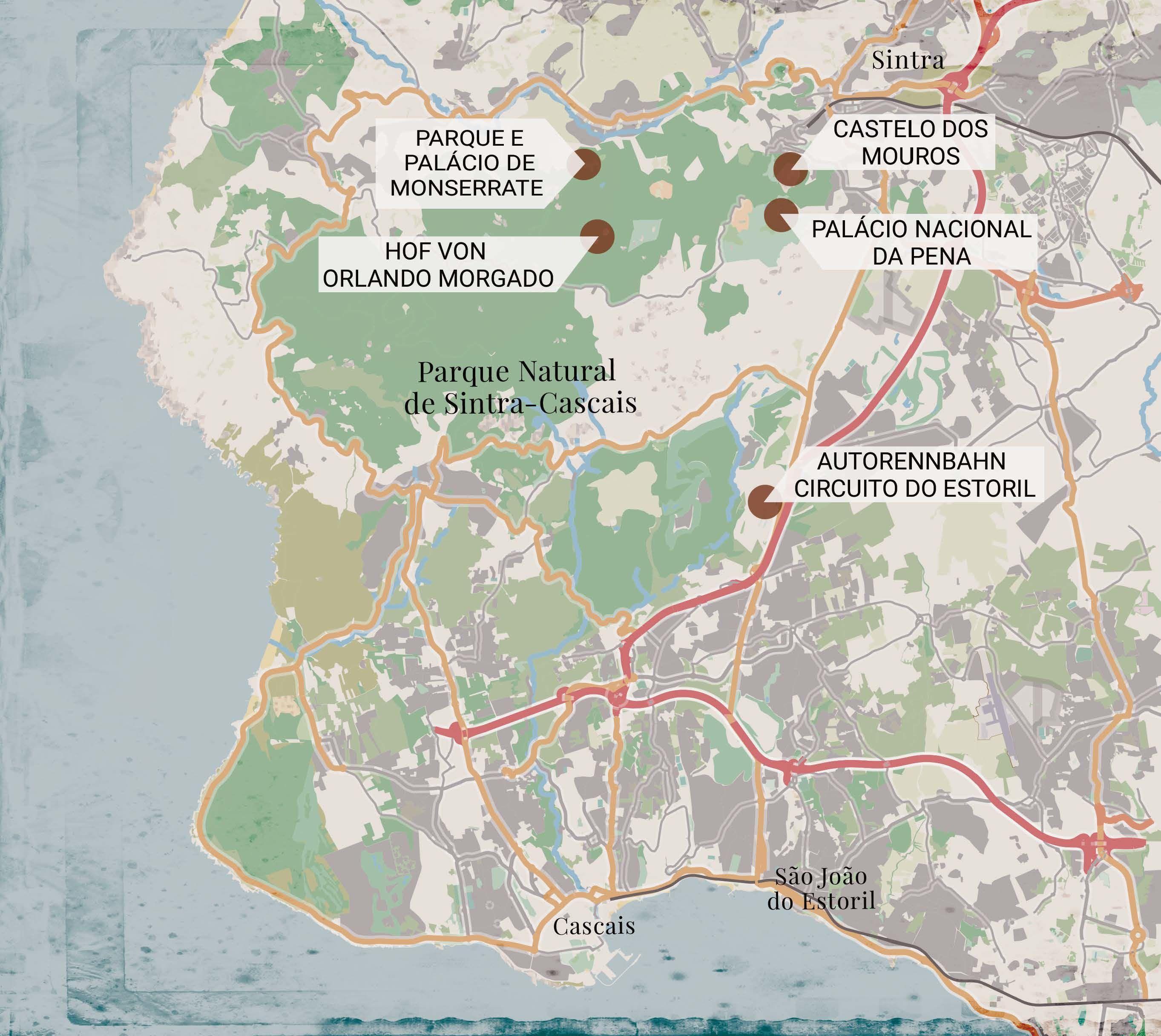 Beispielinhalt (Bild) Portugiesisches Blut