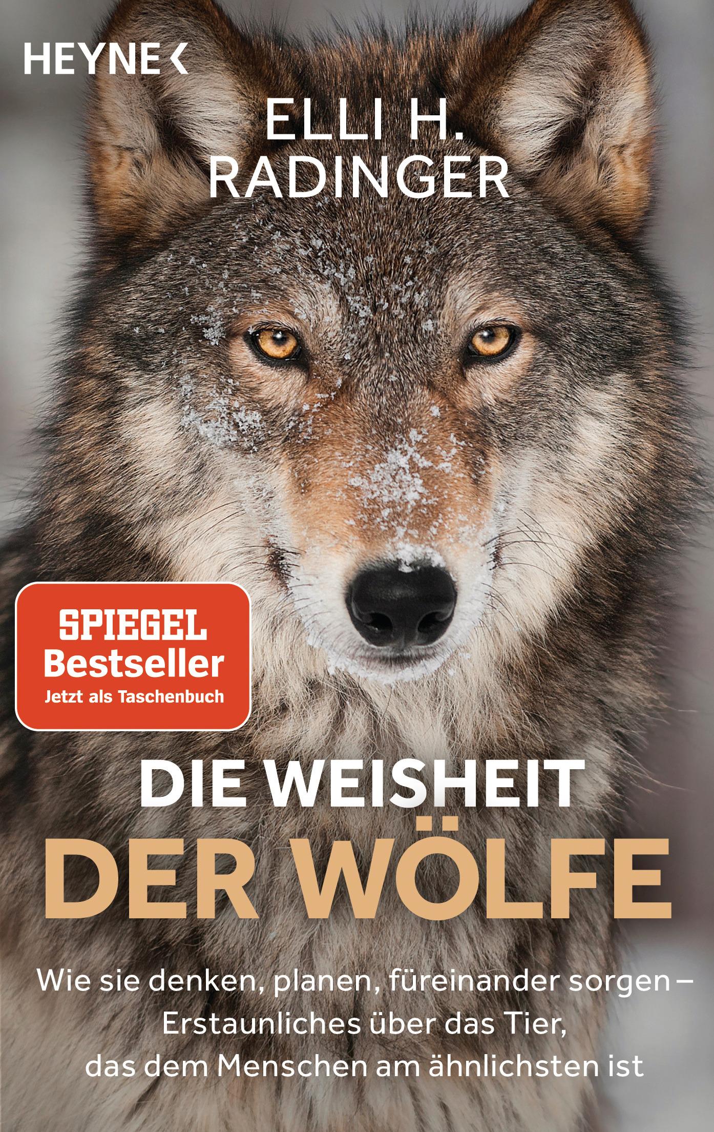 Vorderes Coverbild Die Weisheit der Wölfe