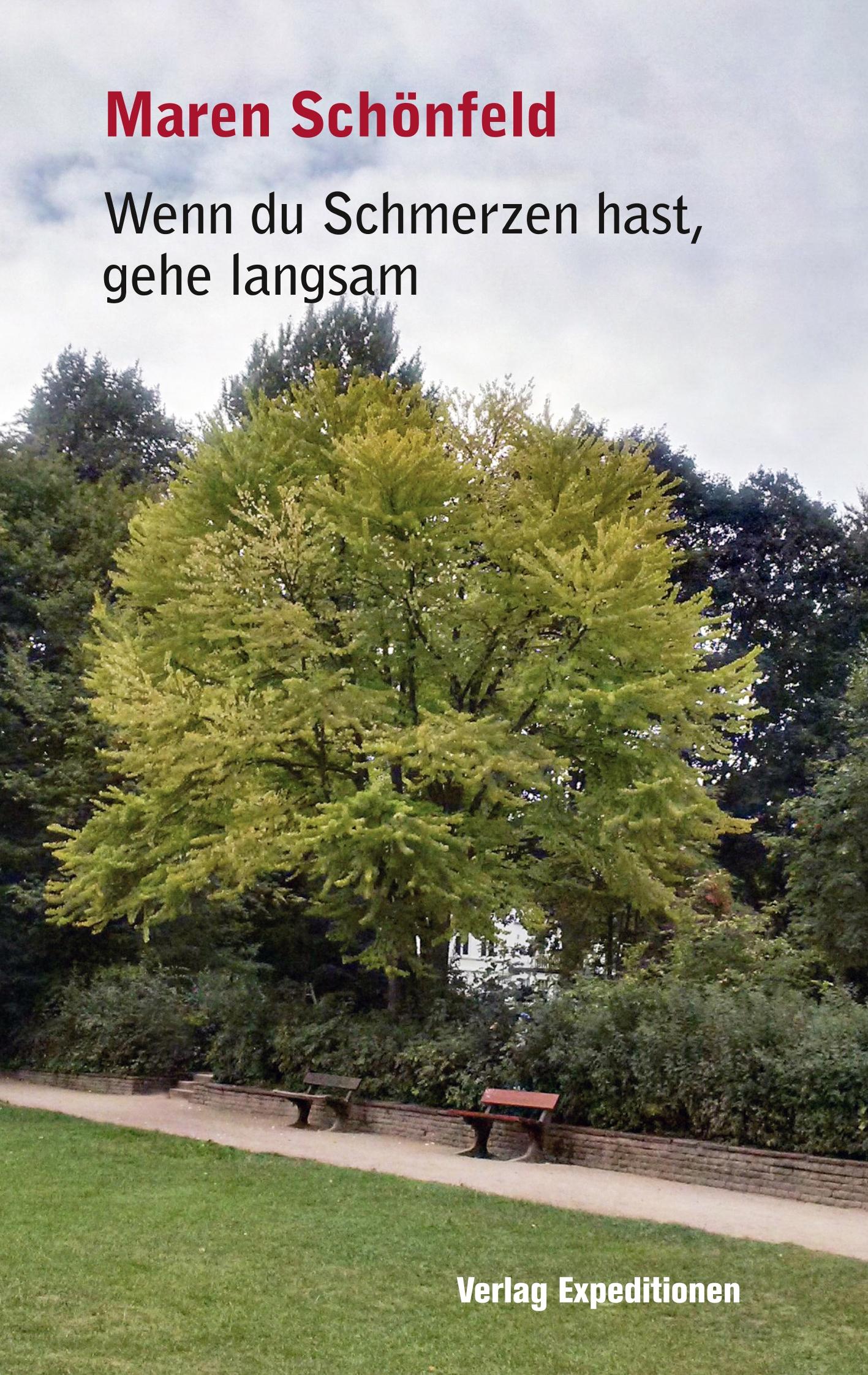 Vorderes Coverbild Wenn du Schmerzen hast, gehe langsam