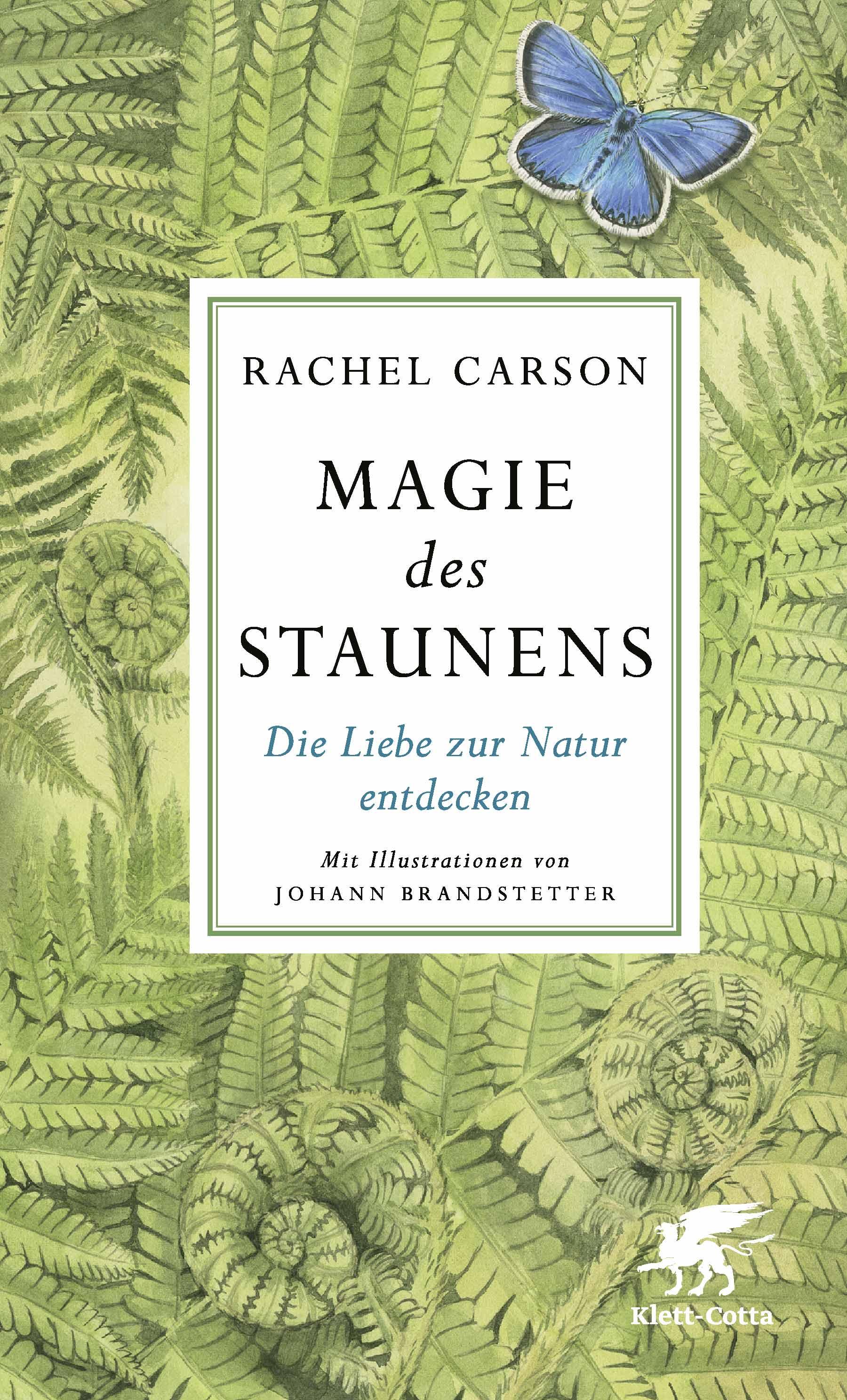 Vorderes Coverbild Magie des Staunens