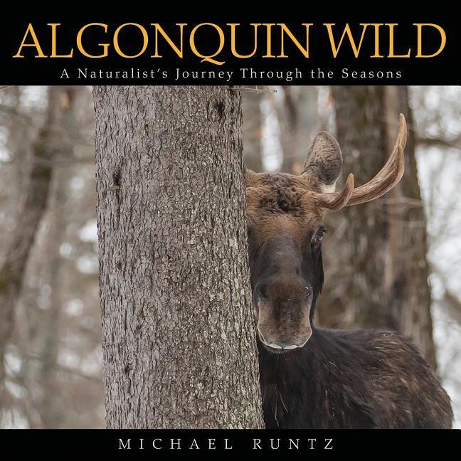 Vorderes Coverbild Algonquin Wild