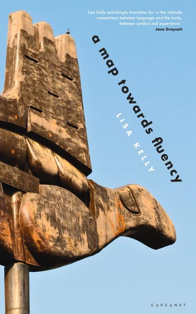 Vorderes Coverbild A Map Towards Fluency