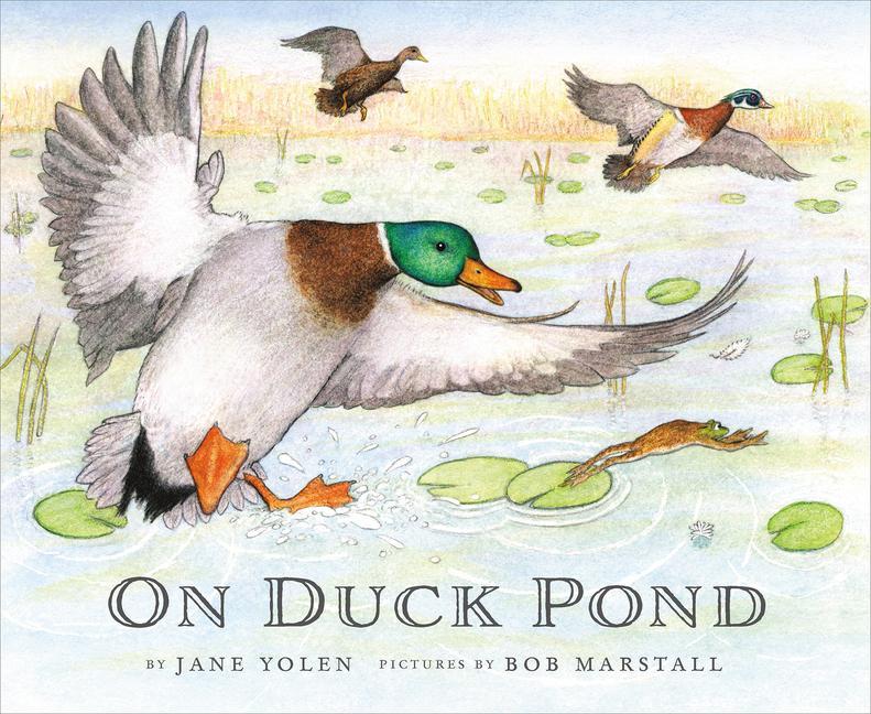 Vorderes Coverbild On Duck Pond