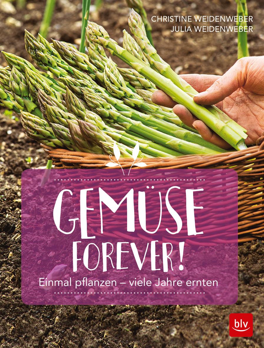 Vorderes Coverbild Gemüse forever!