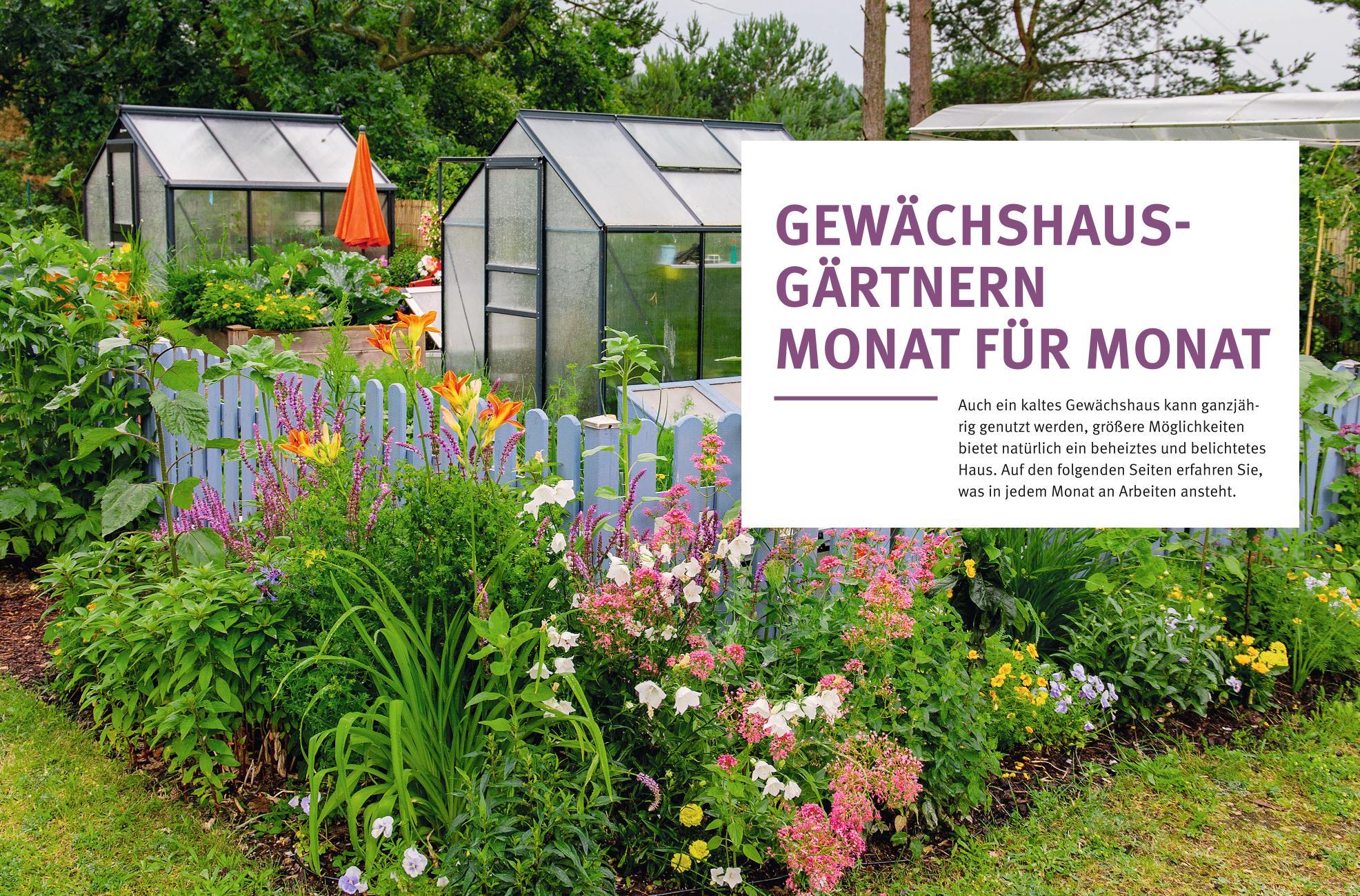 Beispielinhalt (Bild) Gärtnern im Gewächshaus Monat für Monat