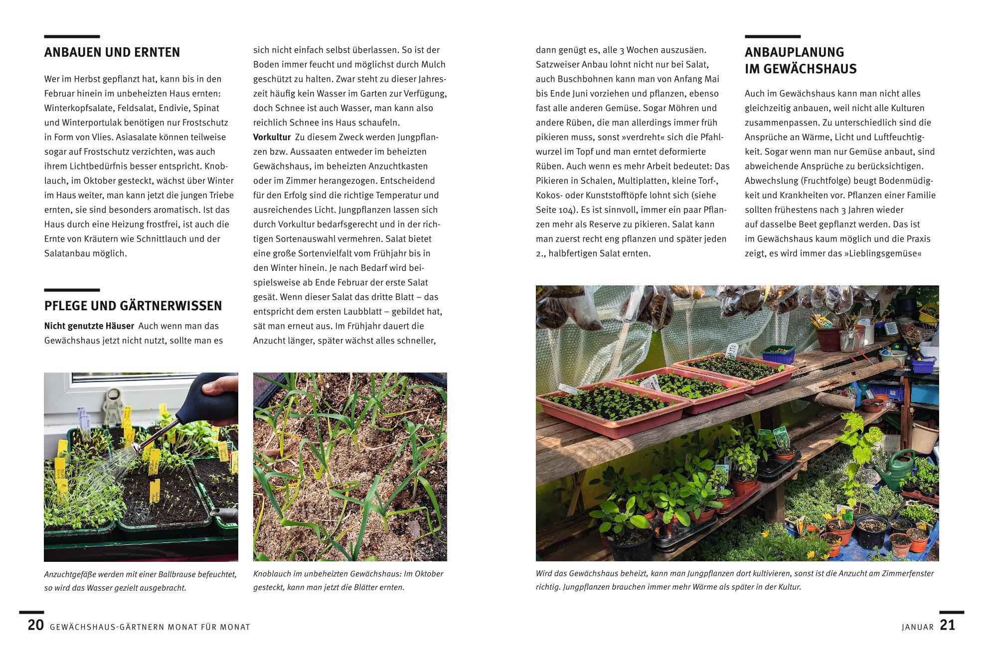 Beispielinhalt (Bild) Gärtnern im Gewächshaus Monat für Monat